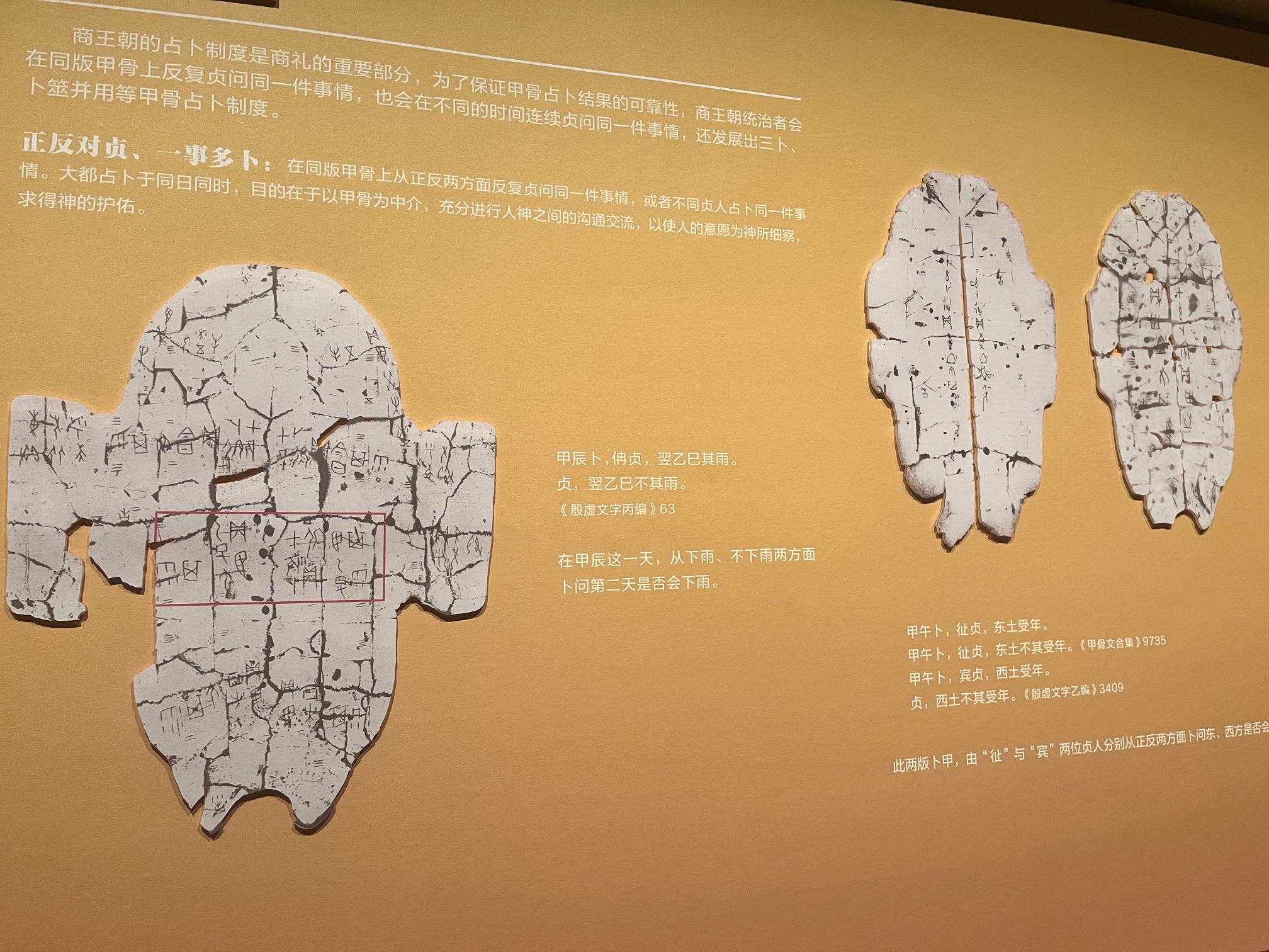 殷墟宫殿宗庙遗址旅行图片 3