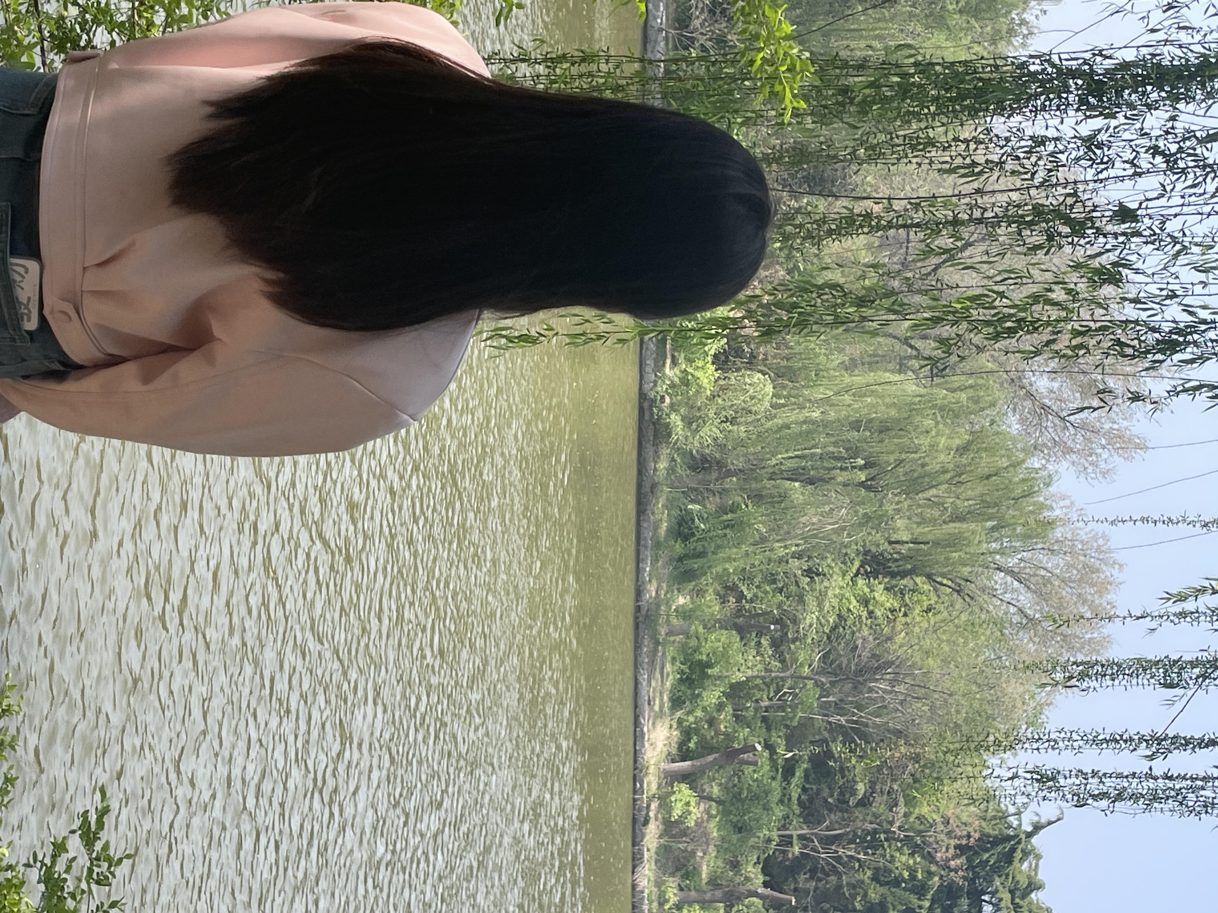 洹园旅行图片 1