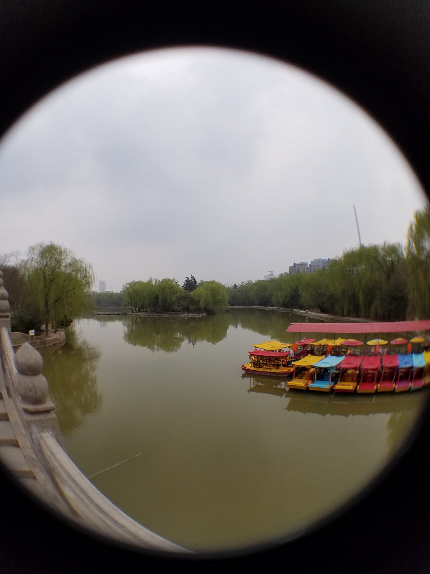 洹园旅行图片 3
