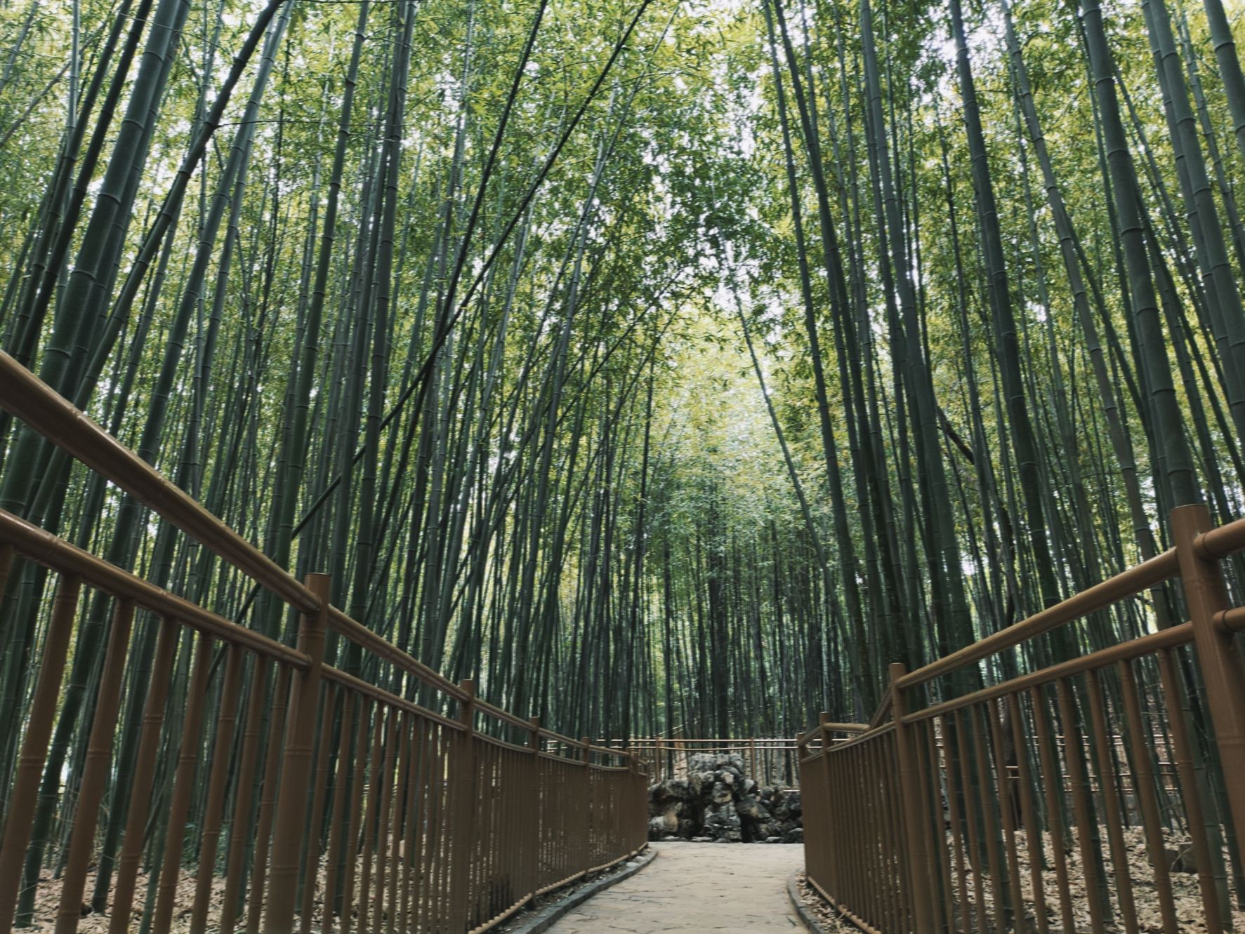 洹园旅行图片 1