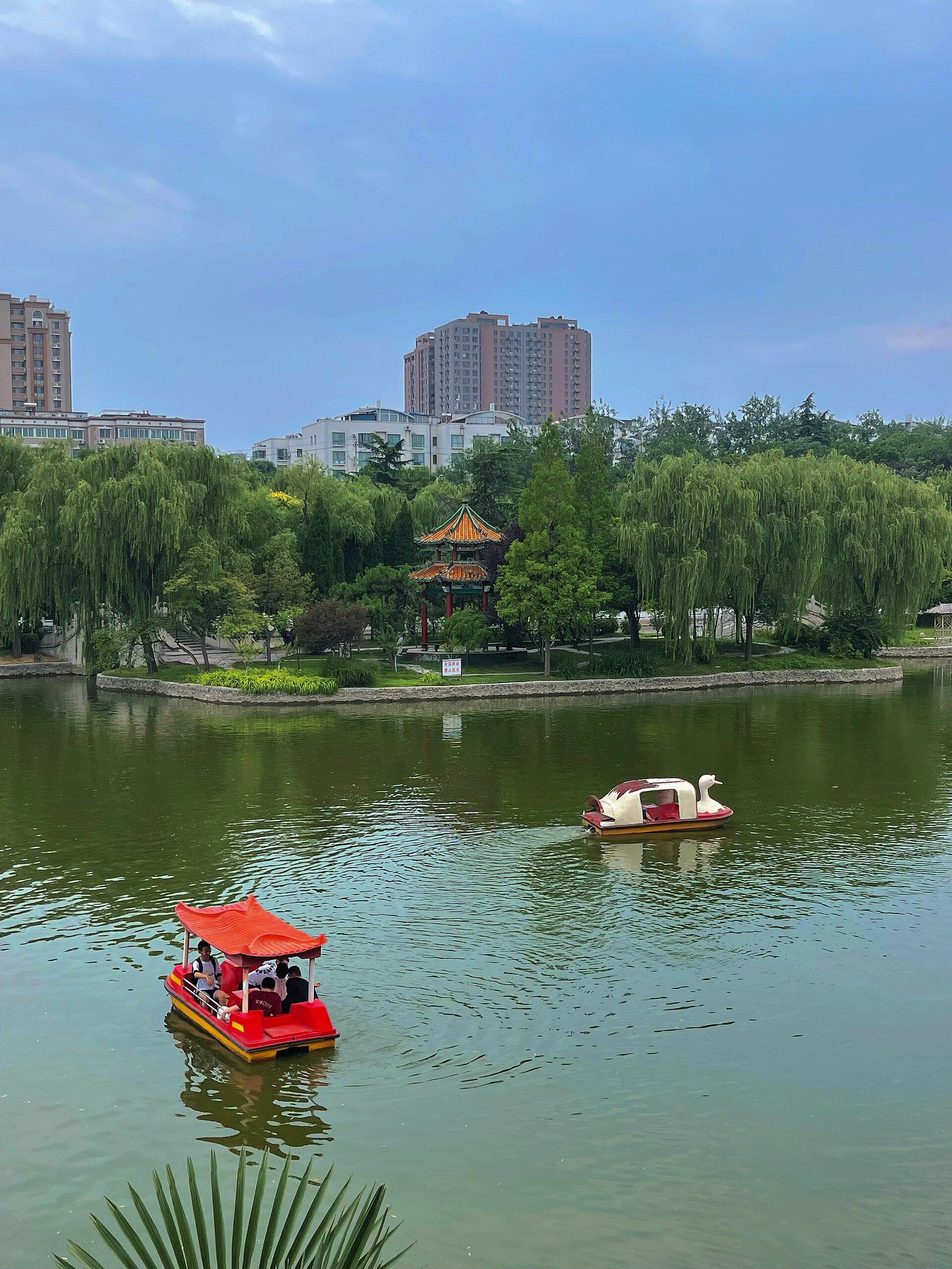 洹园旅行图片 1