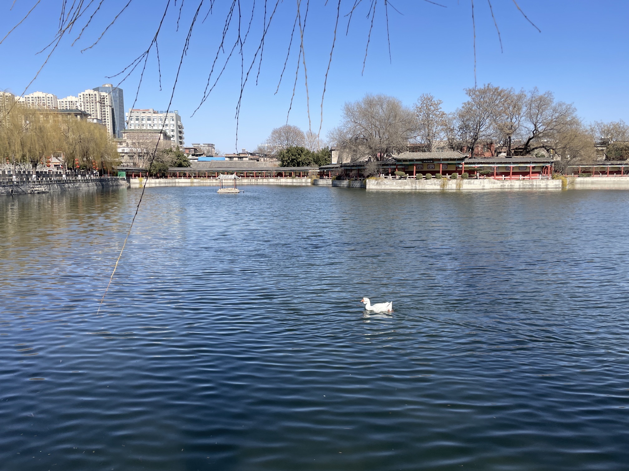 三角湖公园旅行图片 1