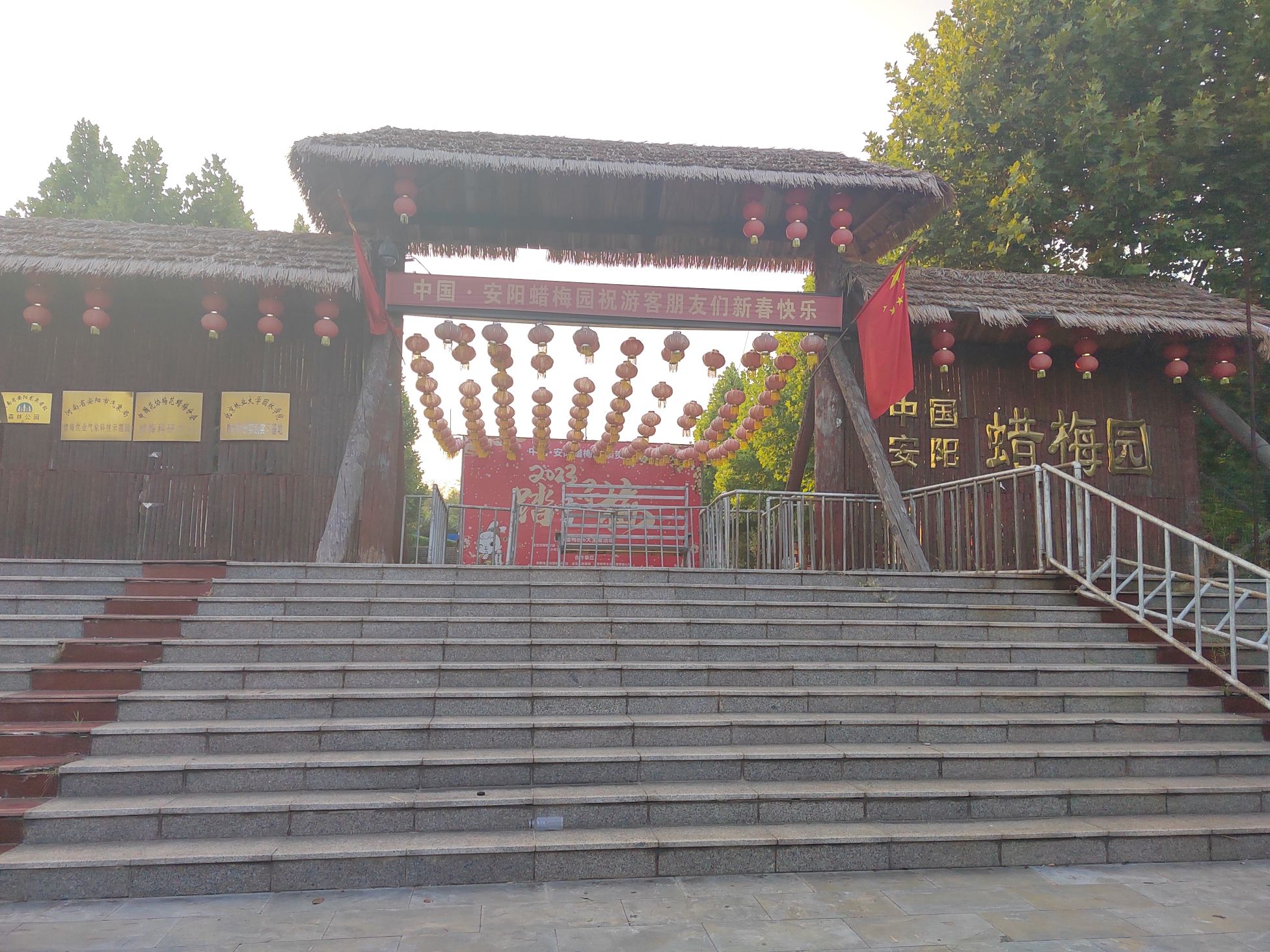 中国安阳蜡梅园旅行图片 3