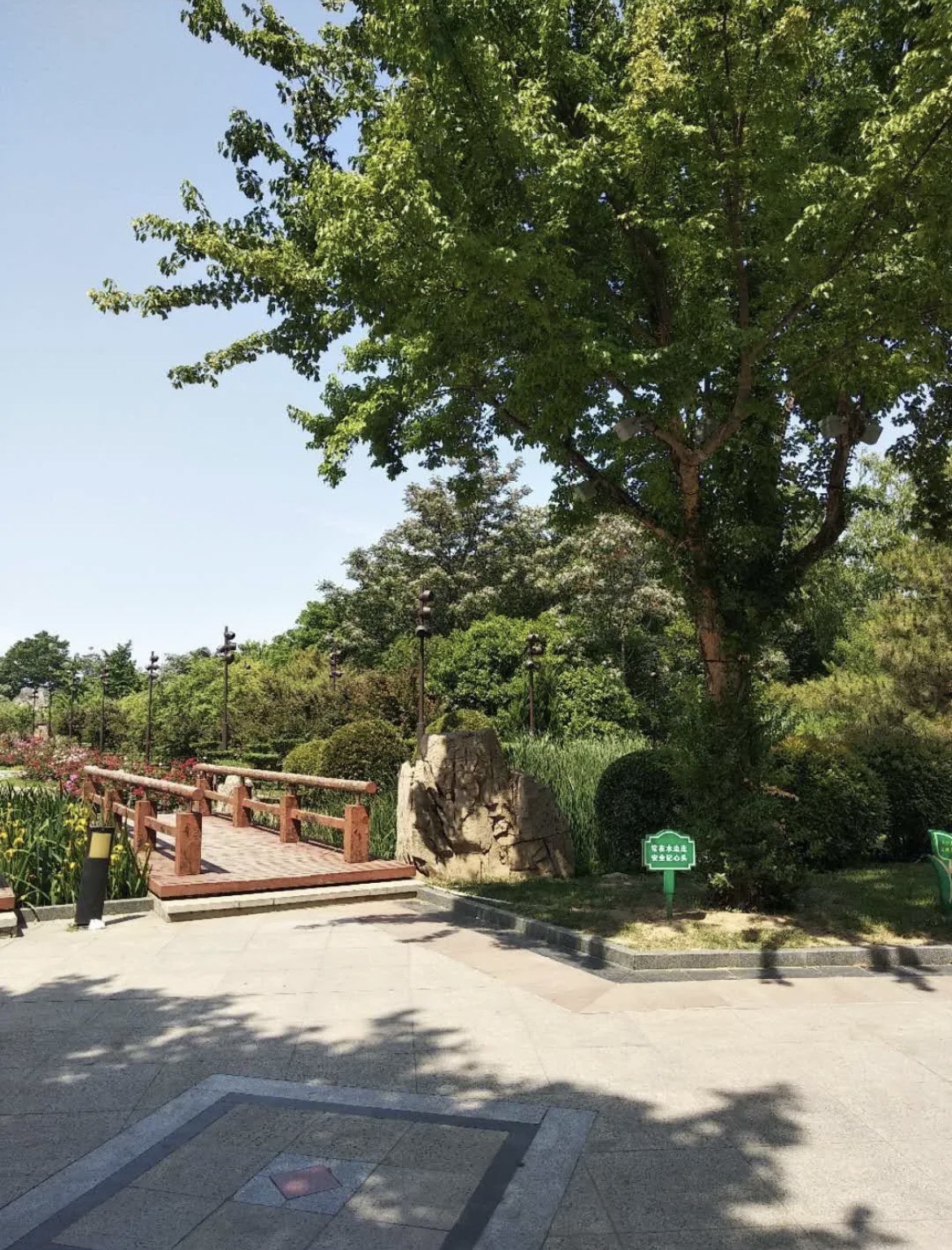易园旅行图片 1