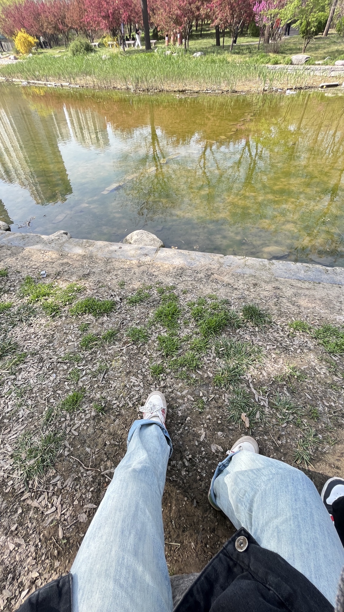 易园旅行图片 3