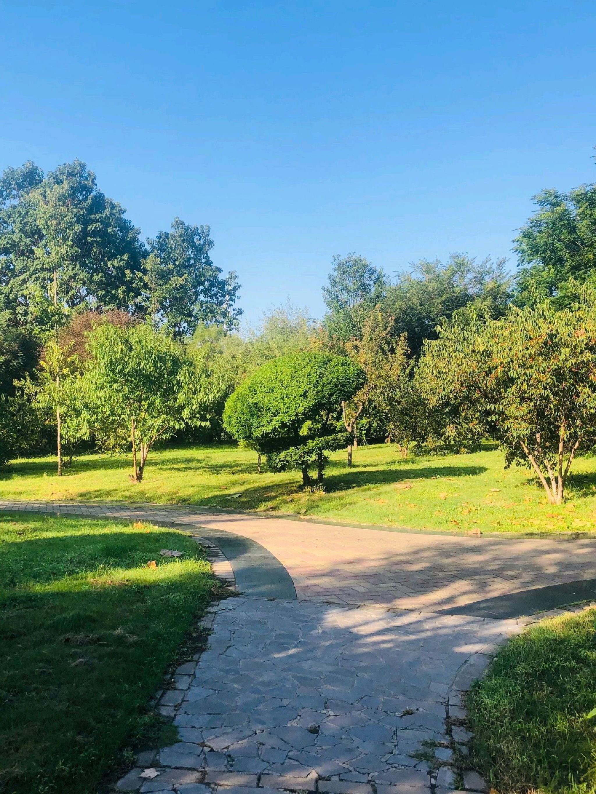 易园旅行图片 3