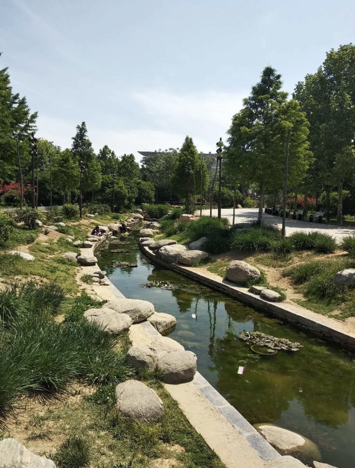 易园旅行图片 3