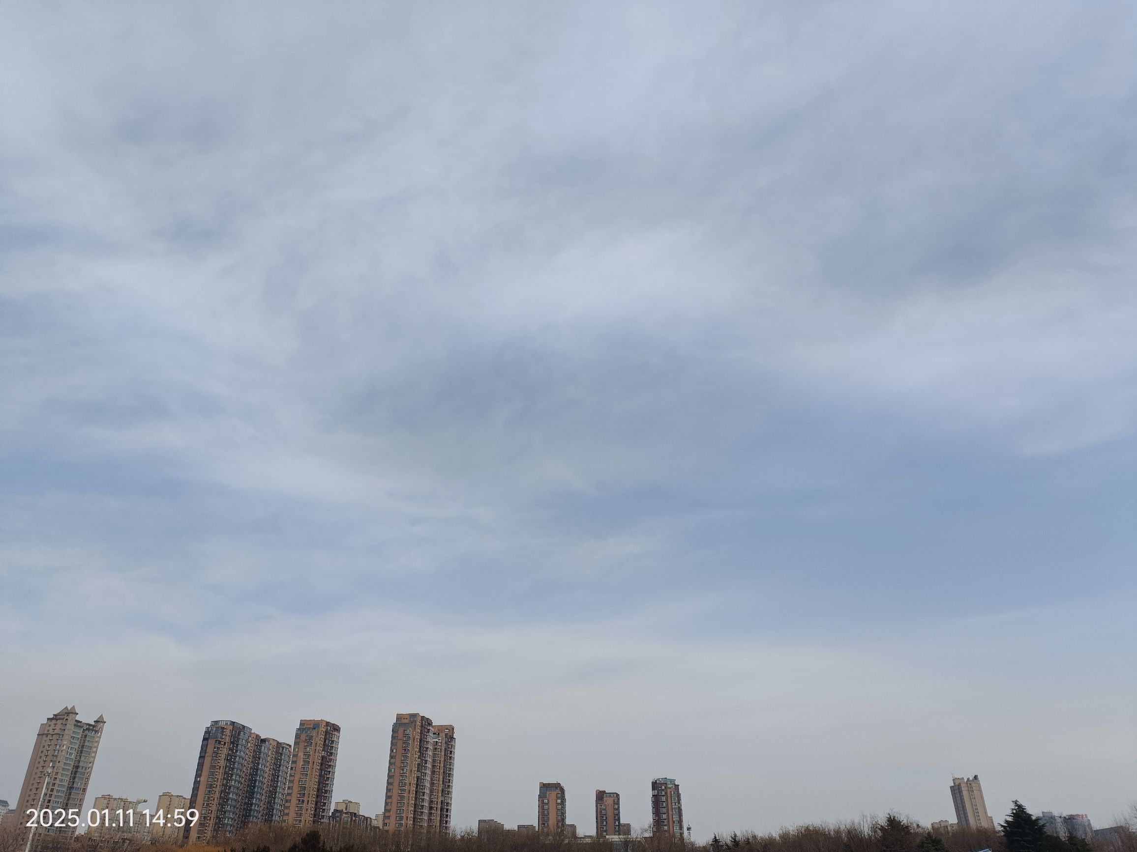 易园旅行图片 3