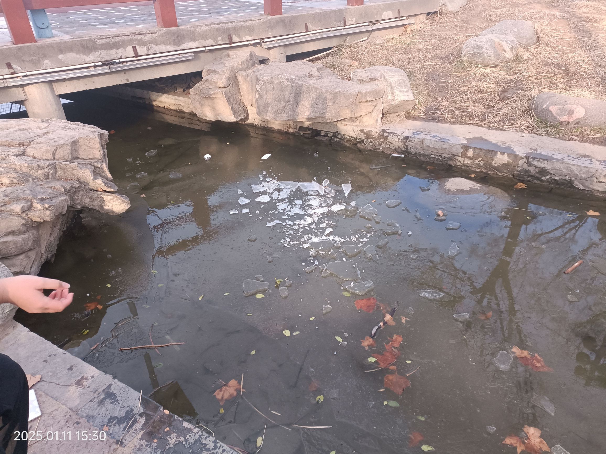易园旅行图片 2