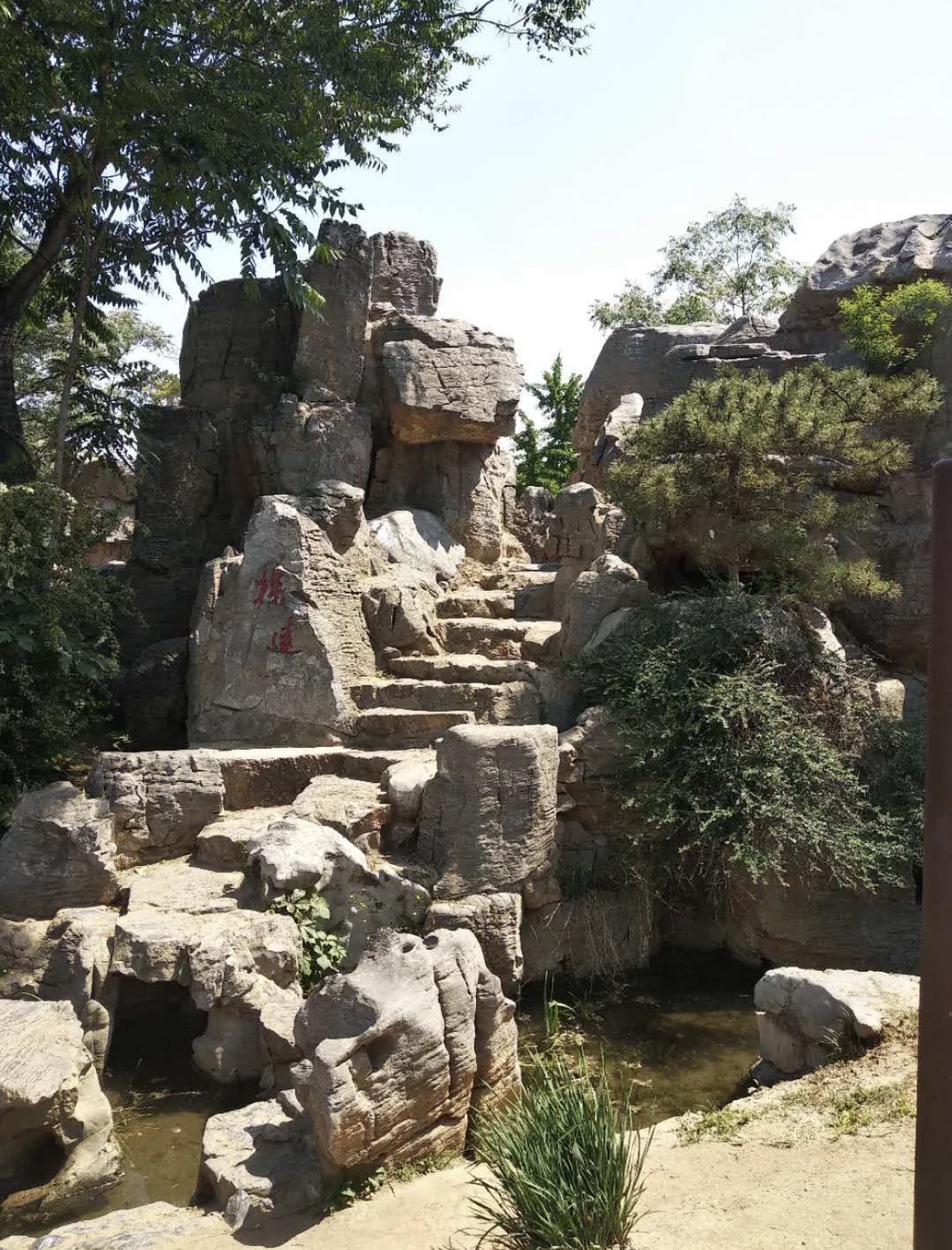 易园旅行图片 2