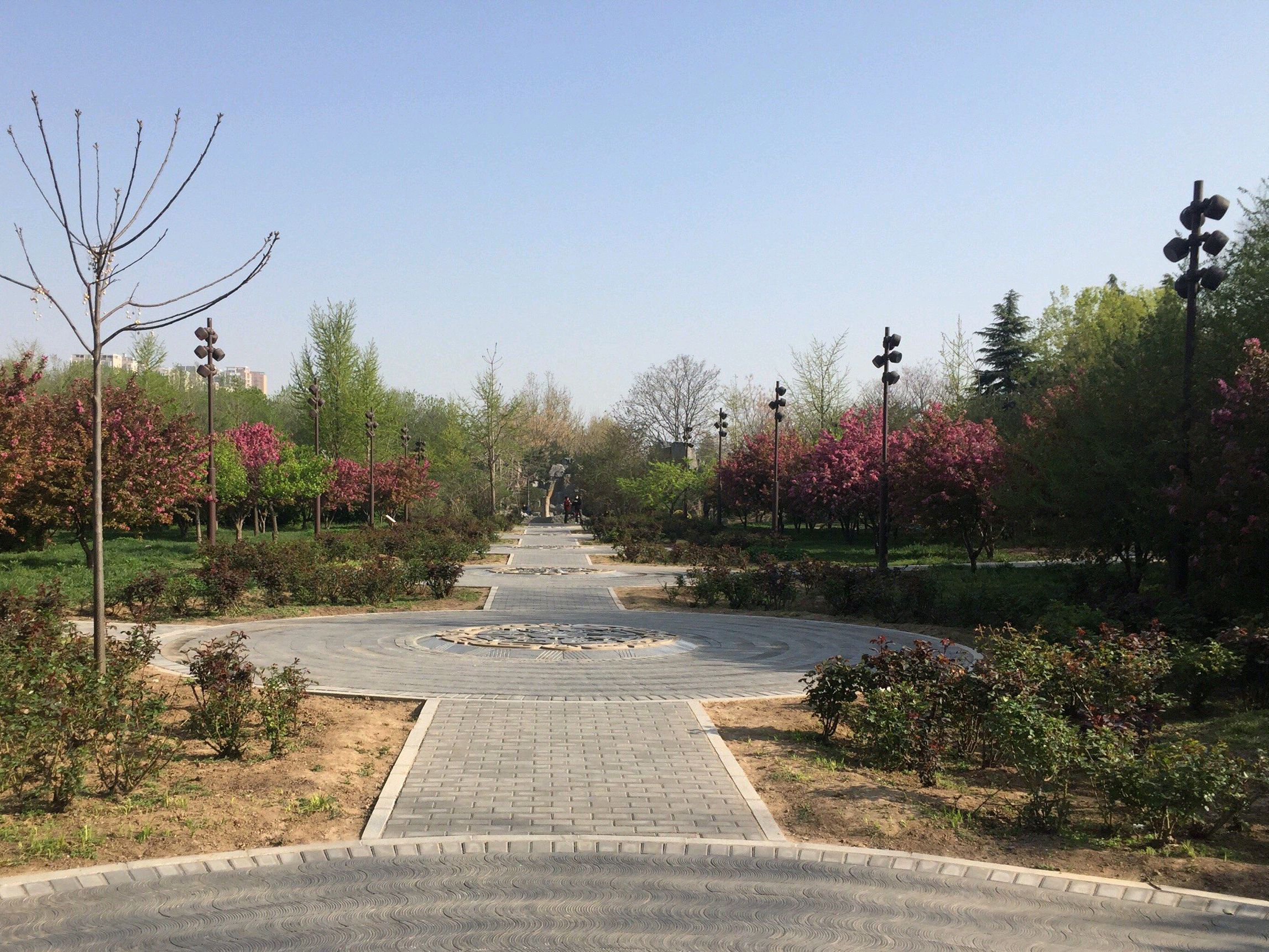 易园旅行图片 1