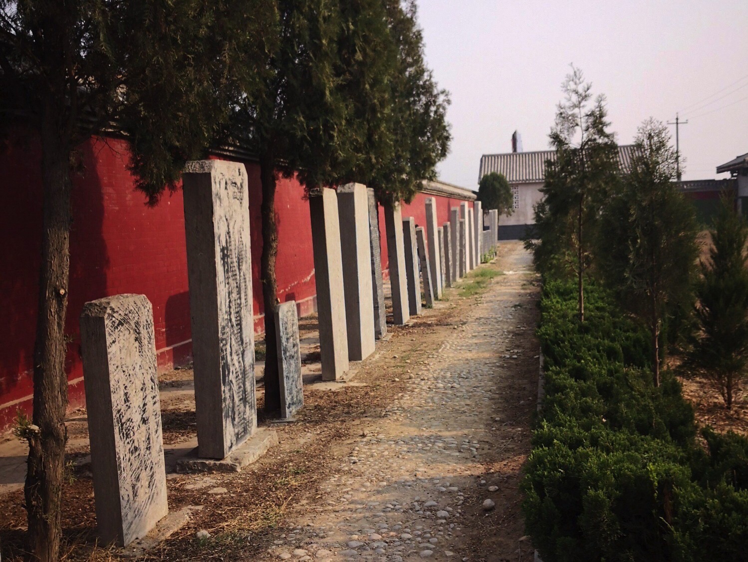 扁鹊庙旅行图片 2