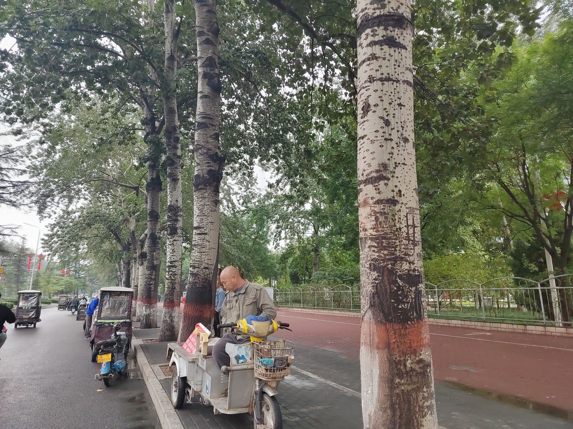 贞元广场旅行图片 3
