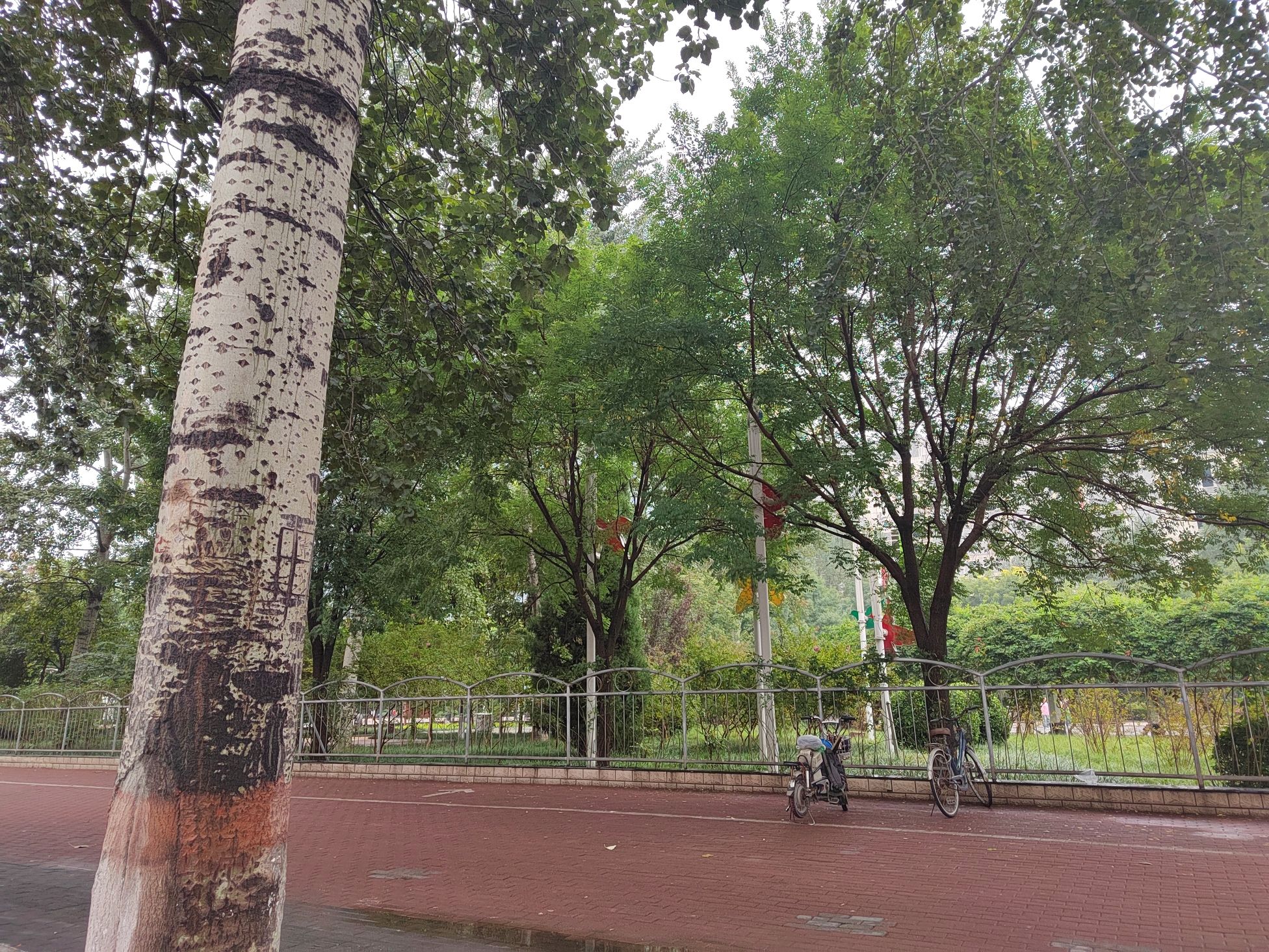 贞元广场旅行图片 2