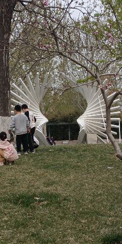 内黄公园旅行图片 2