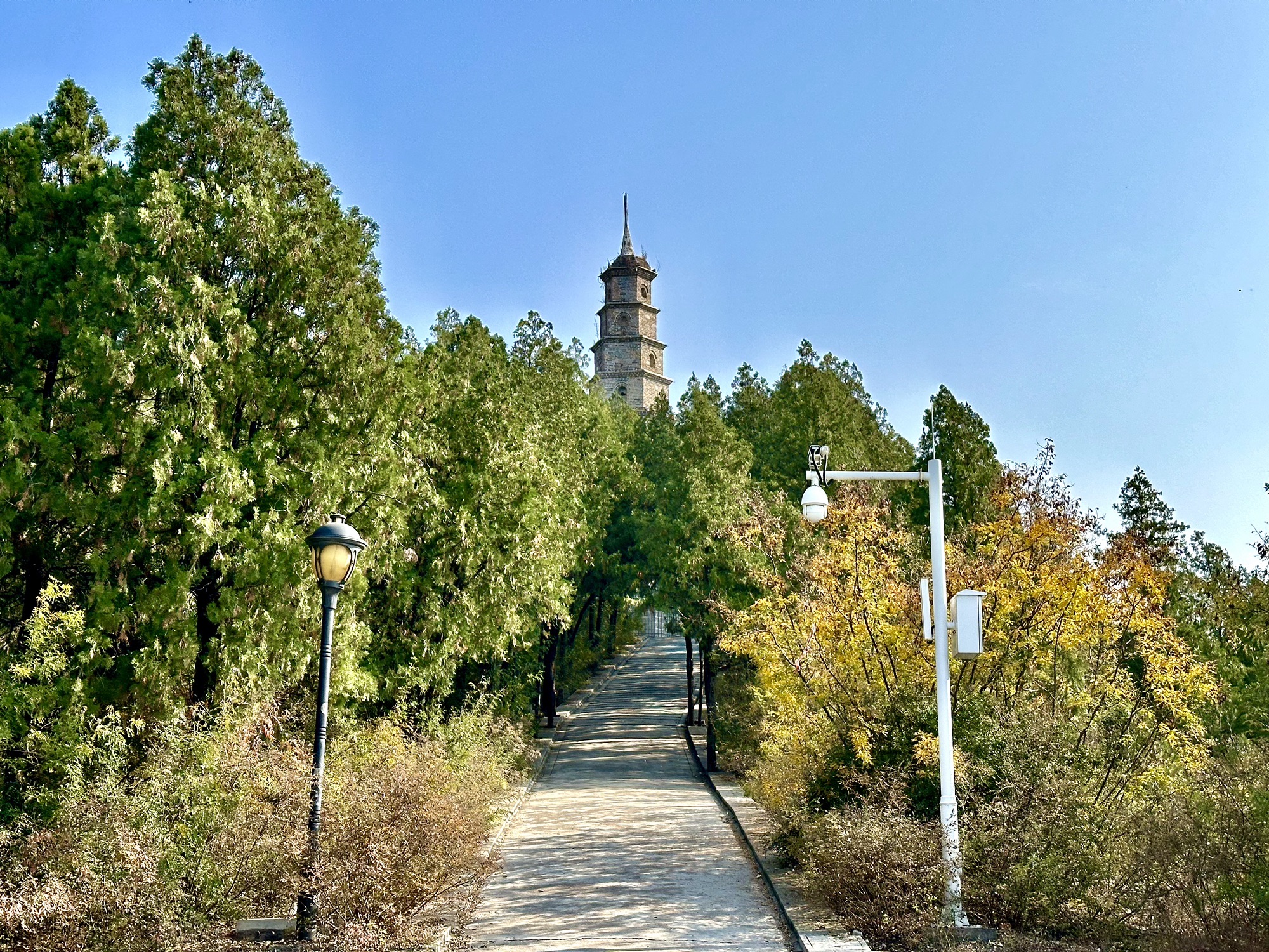 龙凤山风景区旅行图片 3