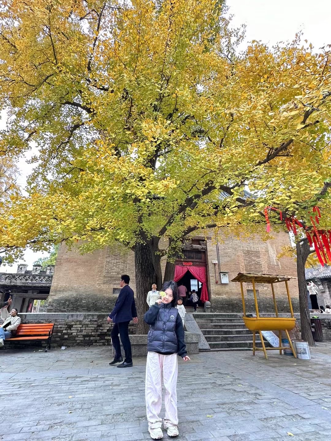 白云寺国家森林公园旅行图片 3