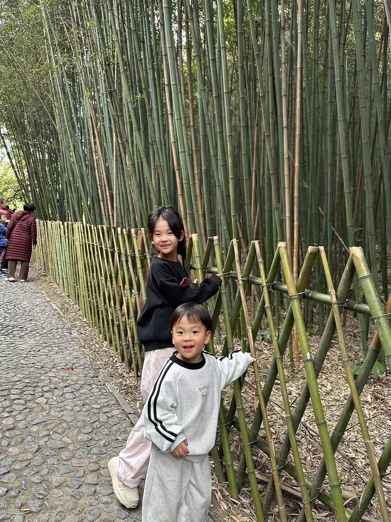 白云寺国家森林公园旅行图片 1