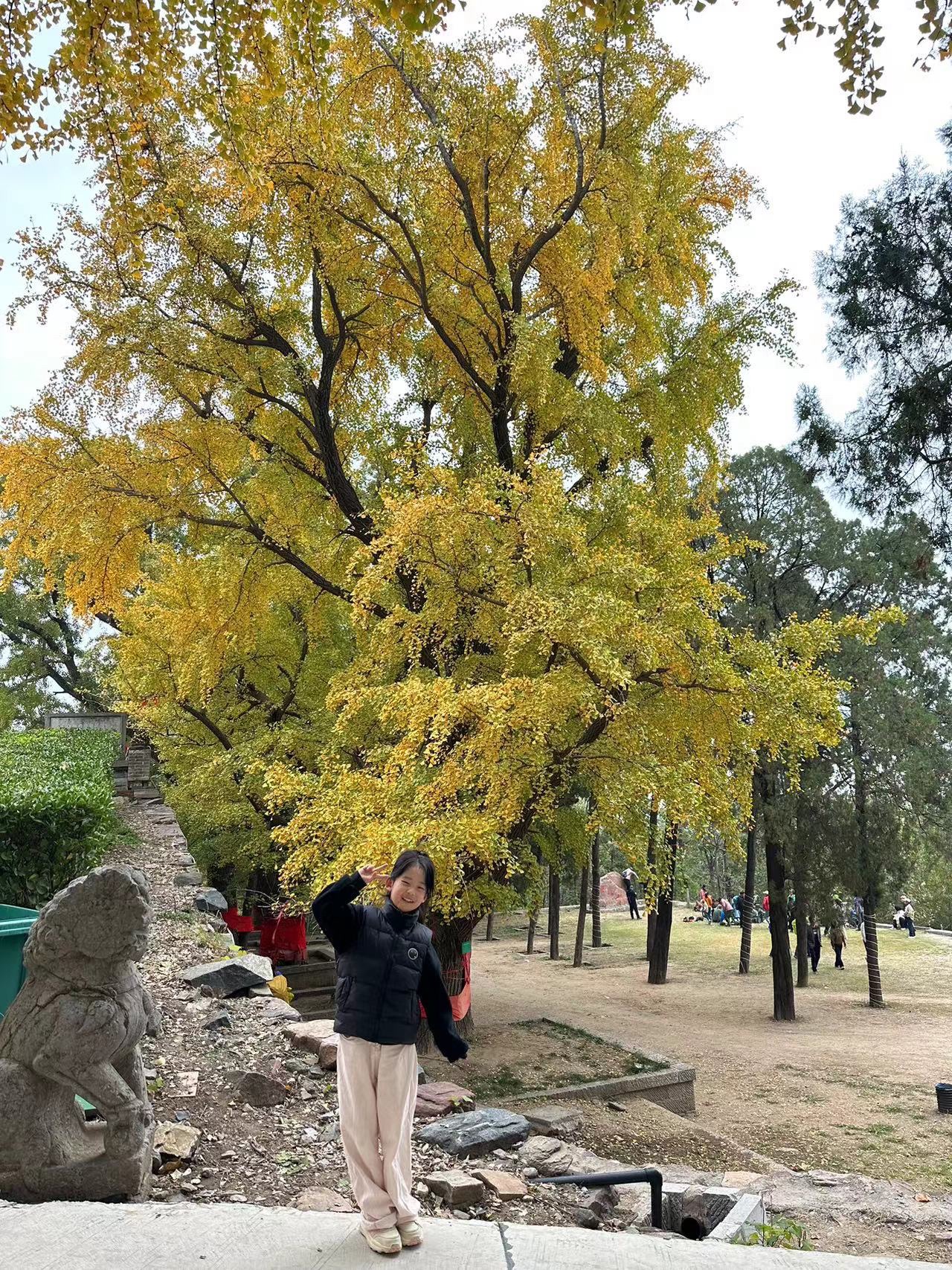 白云寺国家森林公园旅行图片 2