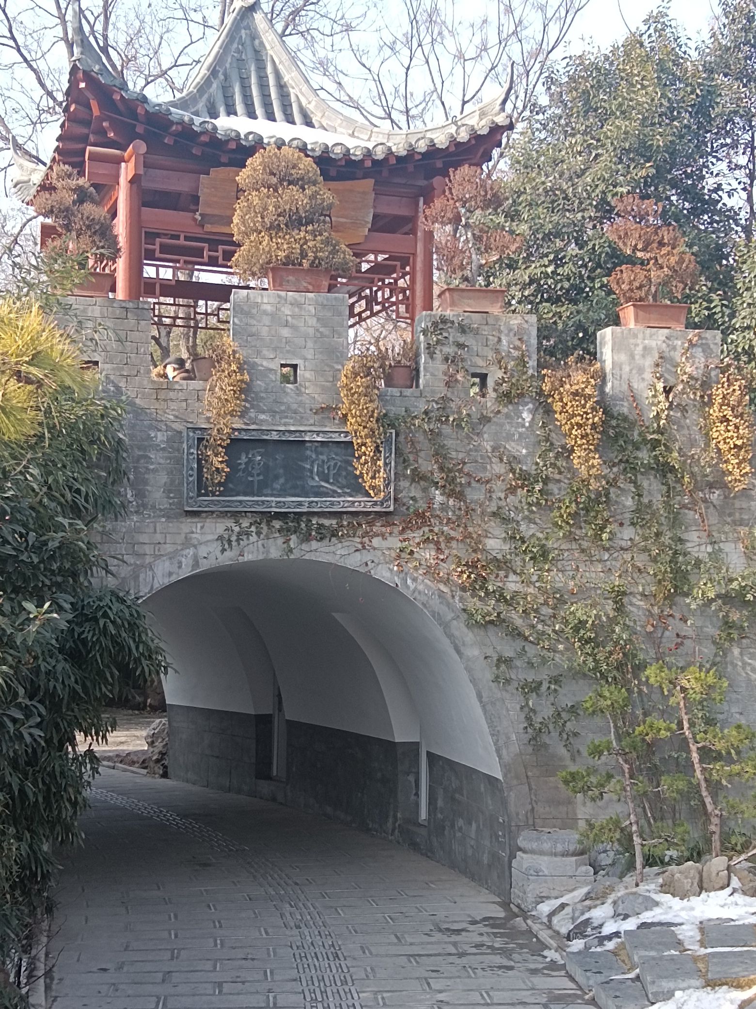 平原公园旅行图片 3