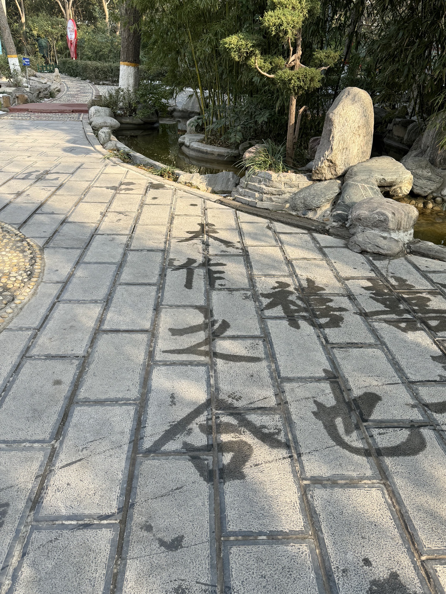 平原公园旅行图片 2