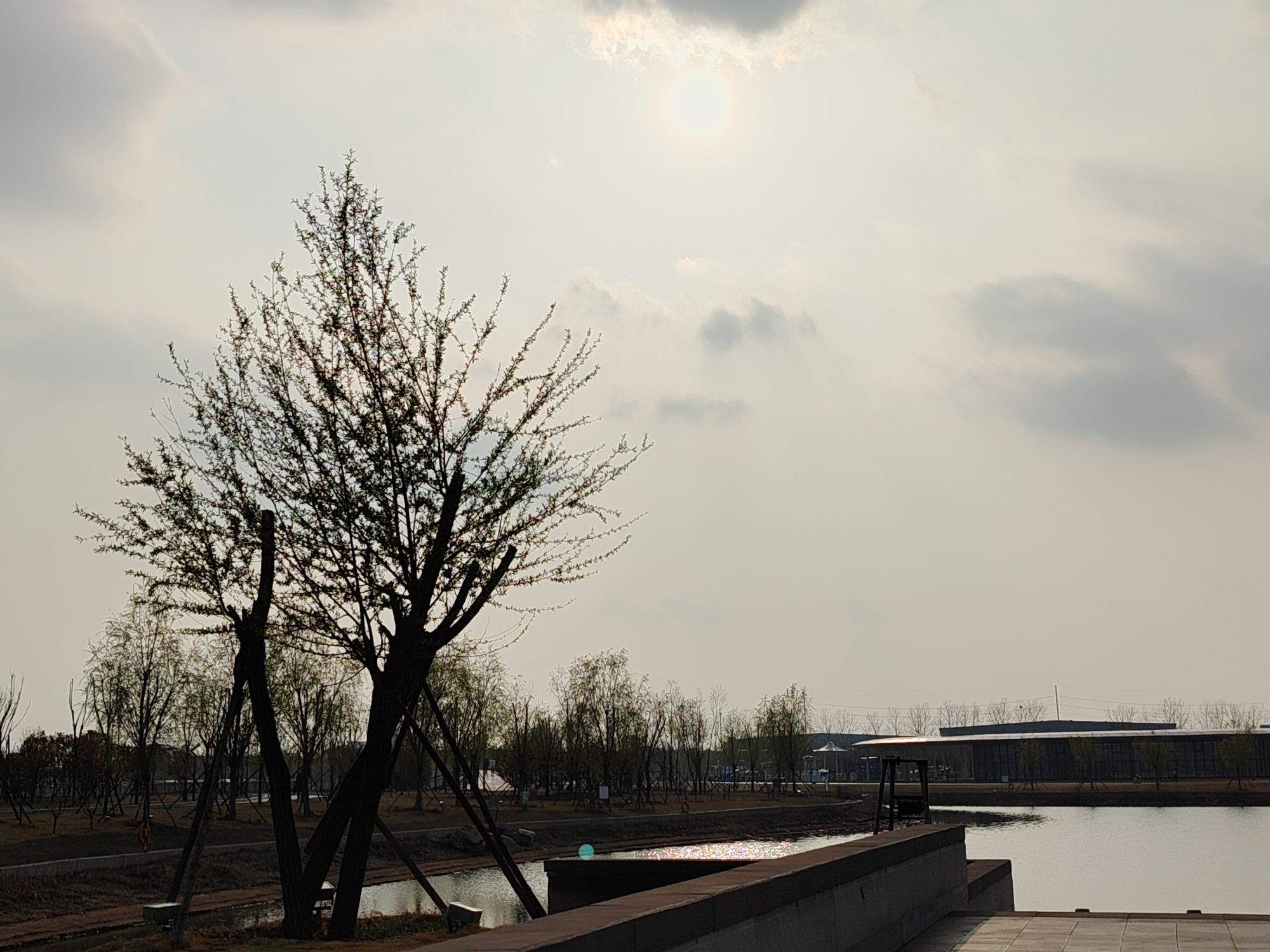 玄武公园旅行图片 3
