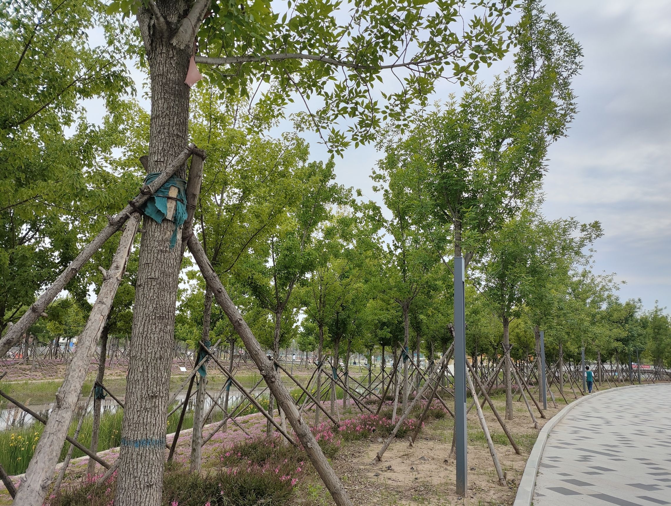 玄武公园旅行图片 3