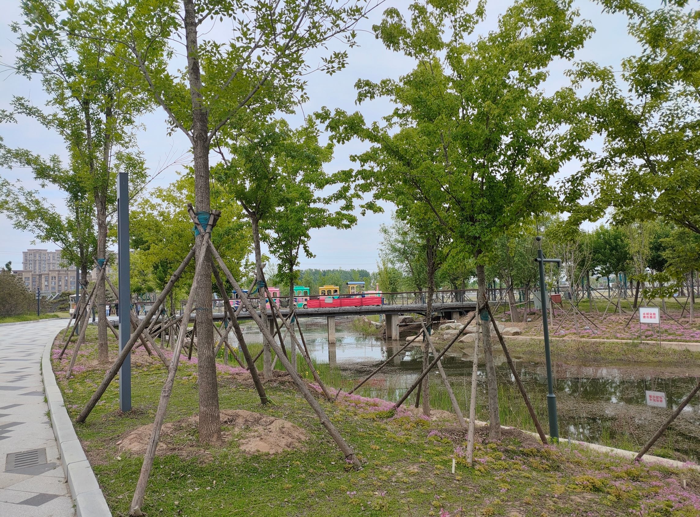 玄武公园旅行图片 2
