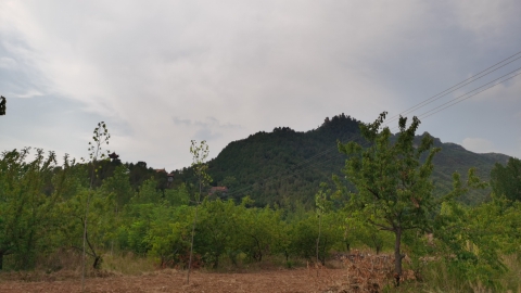 紫荆山风景区旅行图片 3