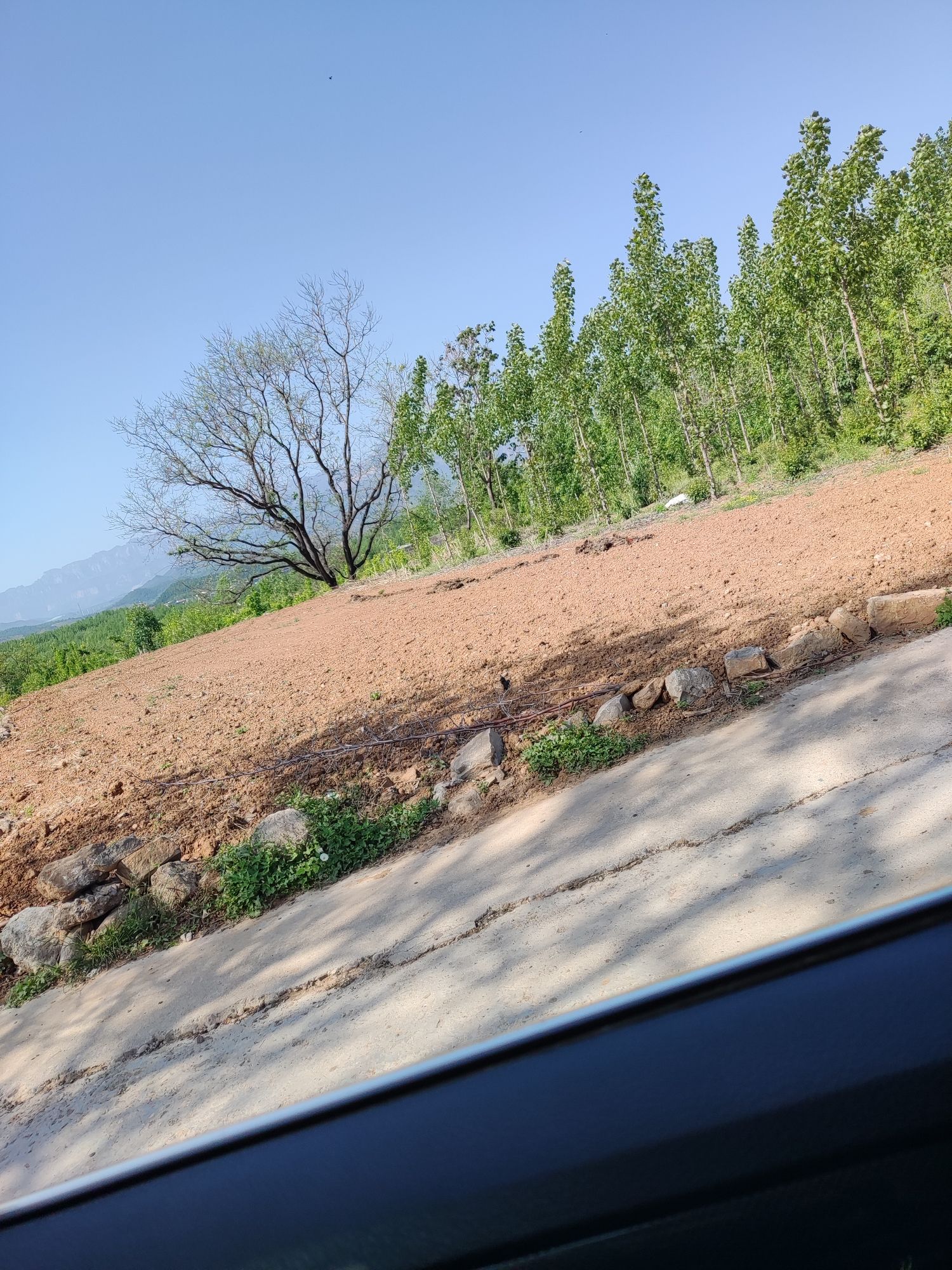 紫荆山风景区旅行图片 1