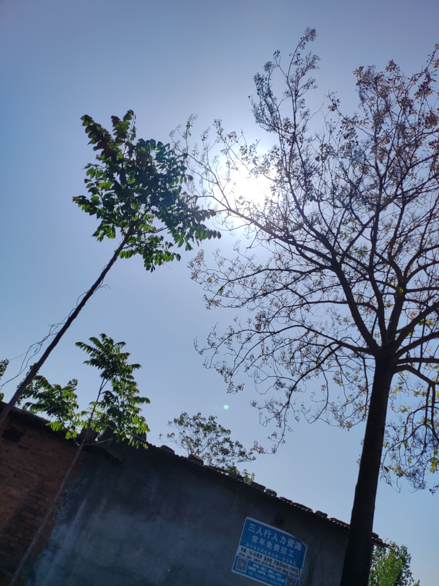 紫荆山风景区旅行图片 2