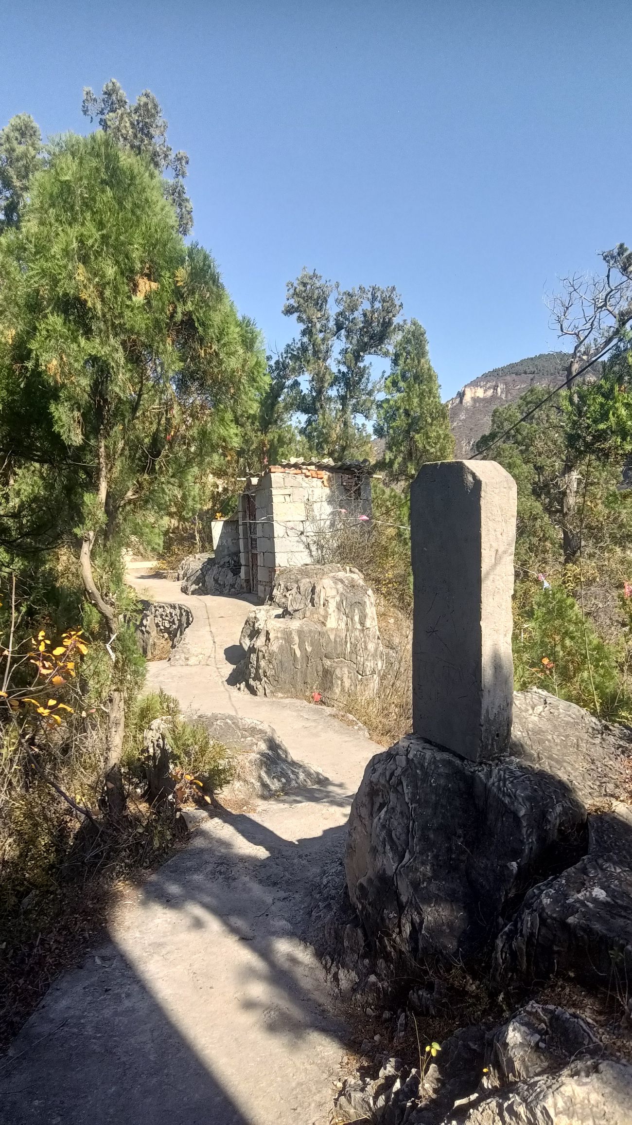 紫荆山风景区旅行图片 3