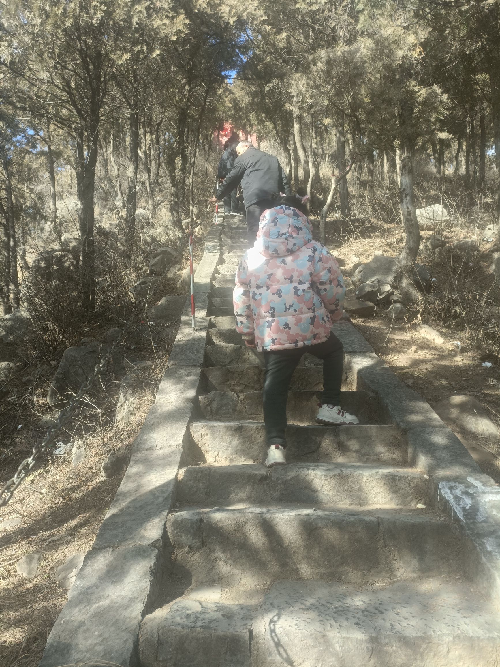 紫荆山风景区旅行图片 1