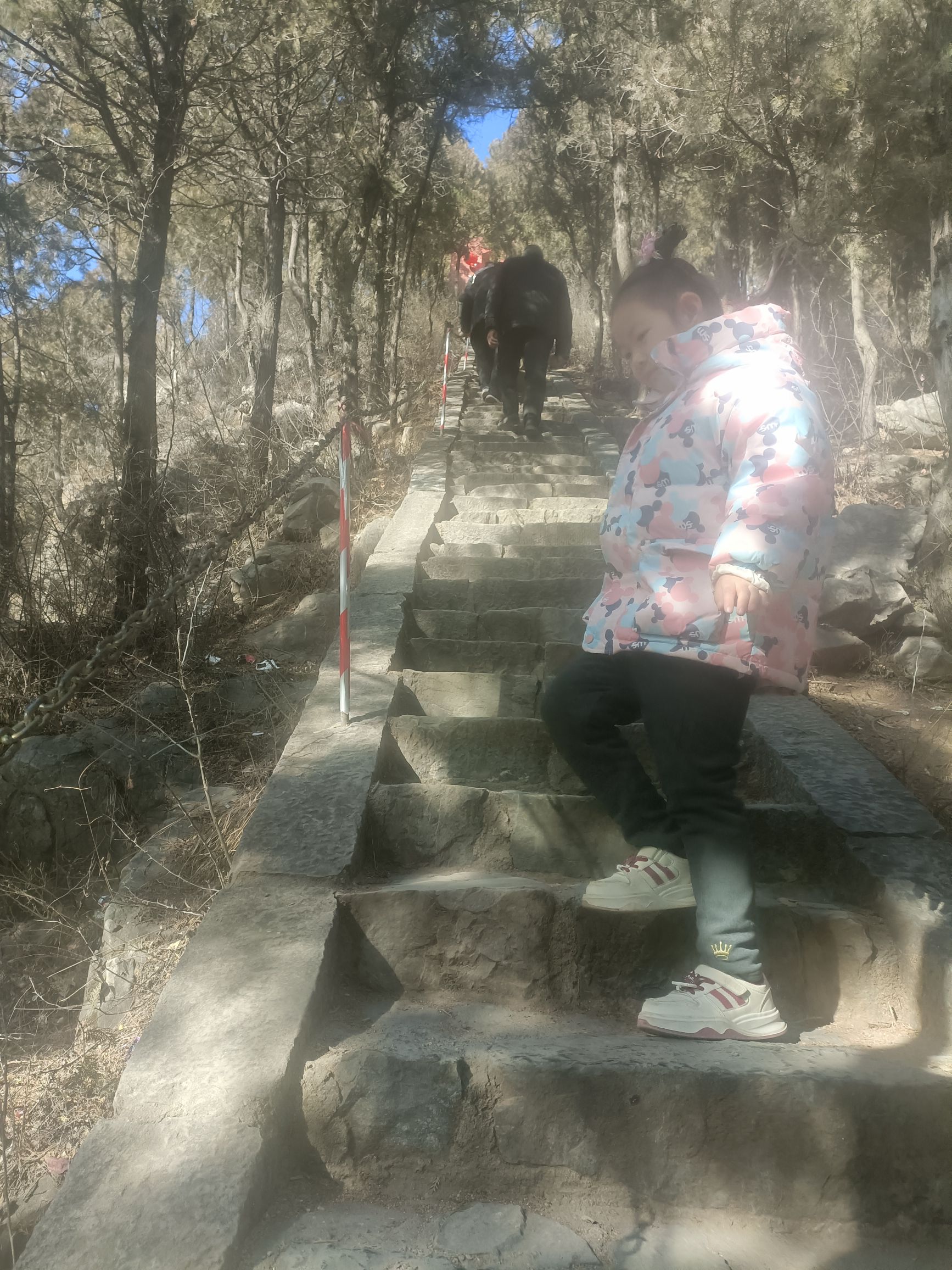 紫荆山风景区旅行图片 3