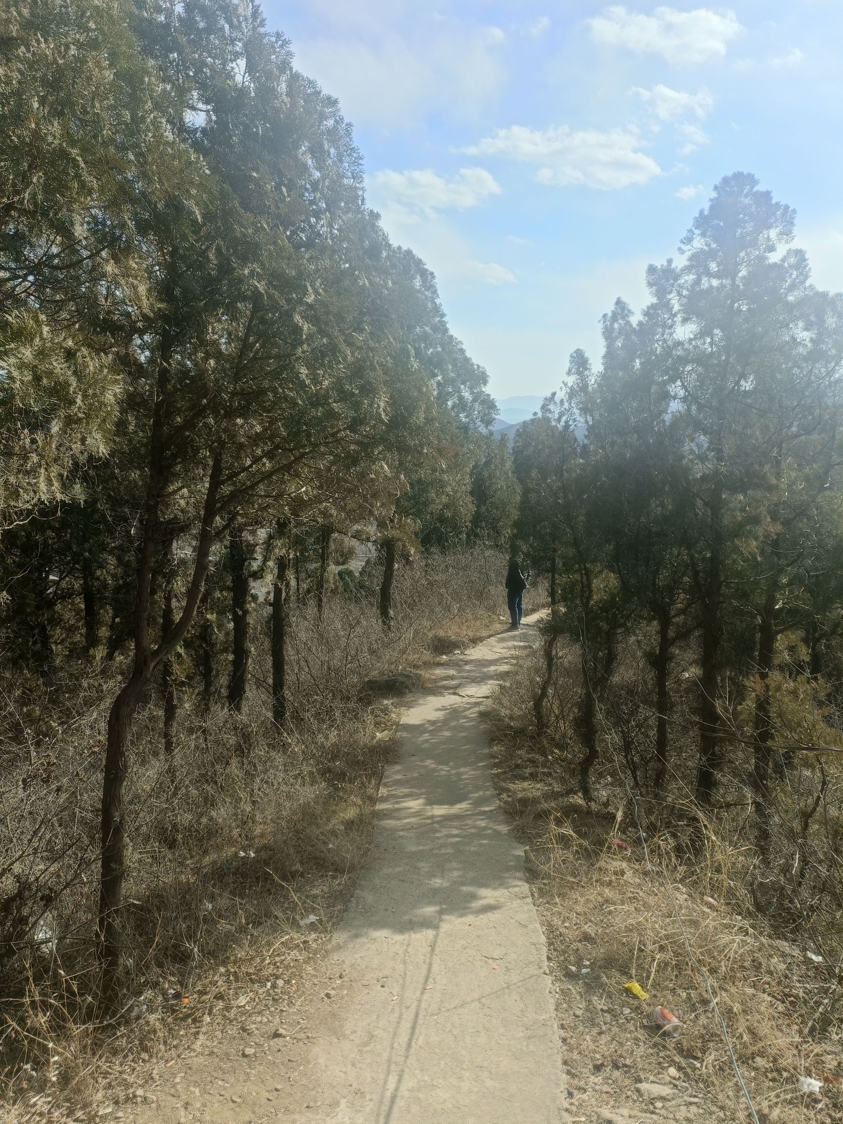 紫荆山风景区旅行图片 2