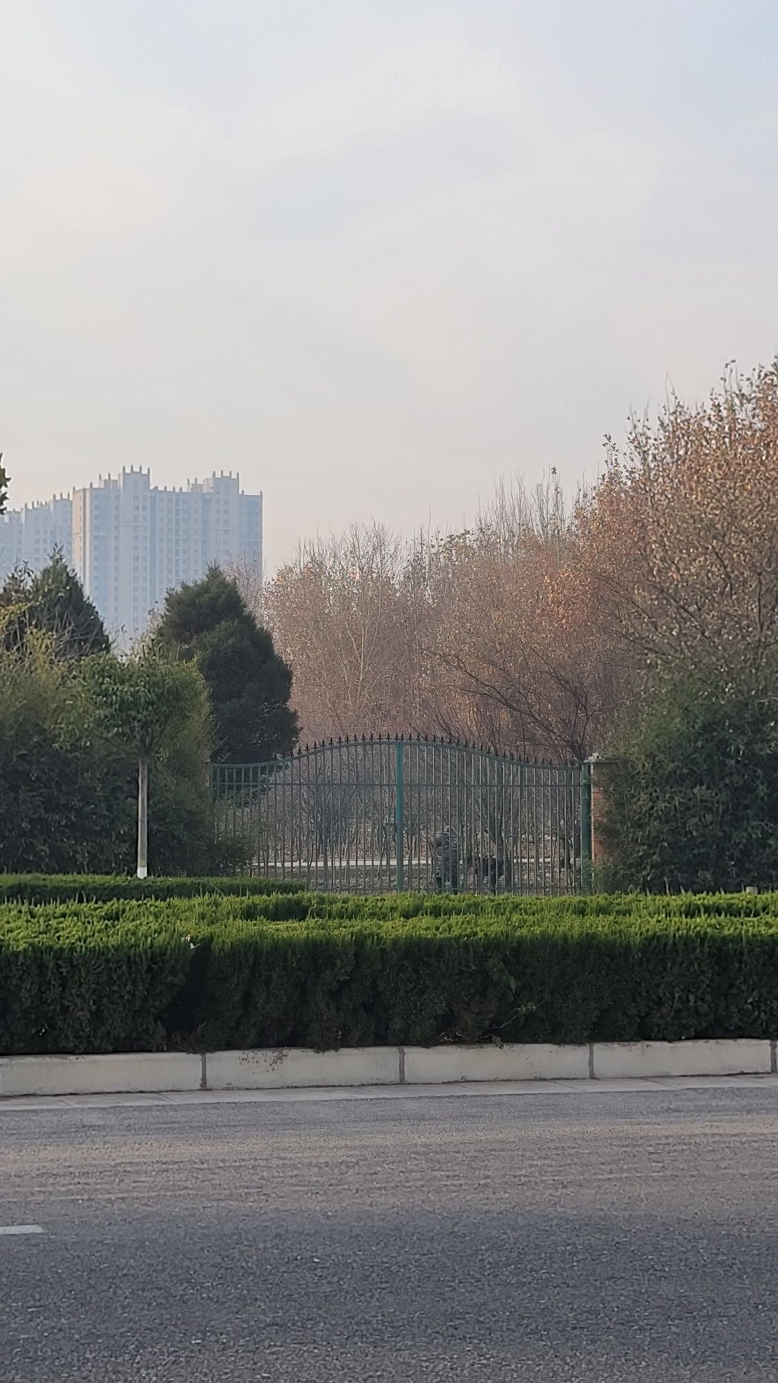 新乡市植物园旅行图片 2
