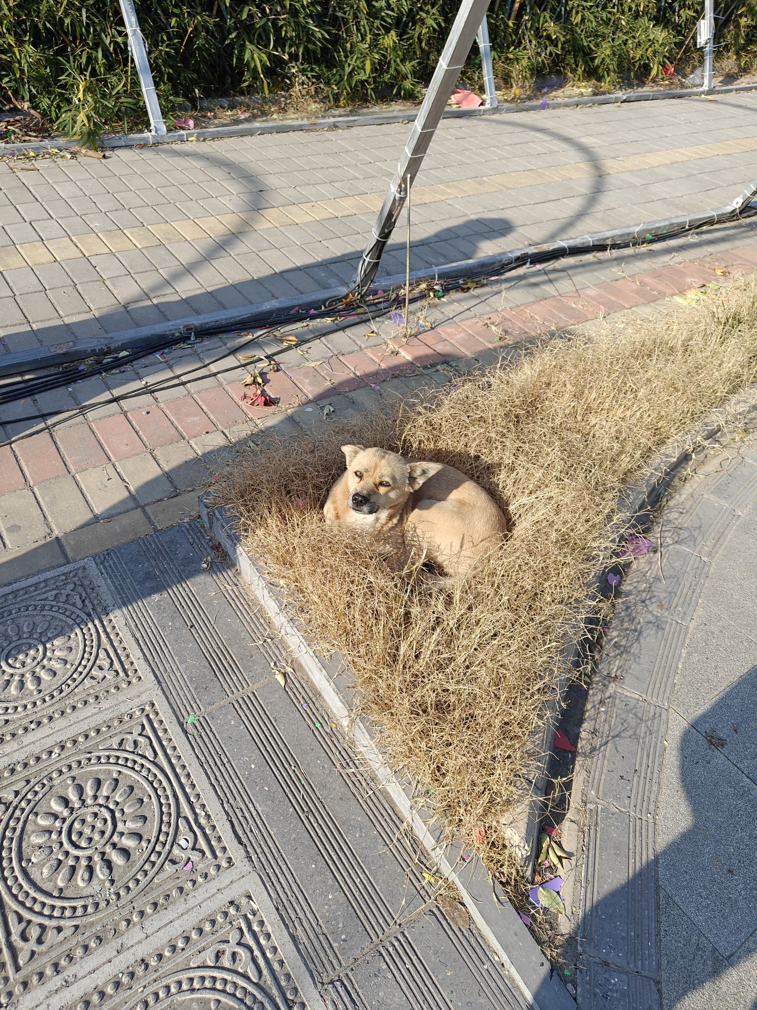 京华园旅行图片 2
