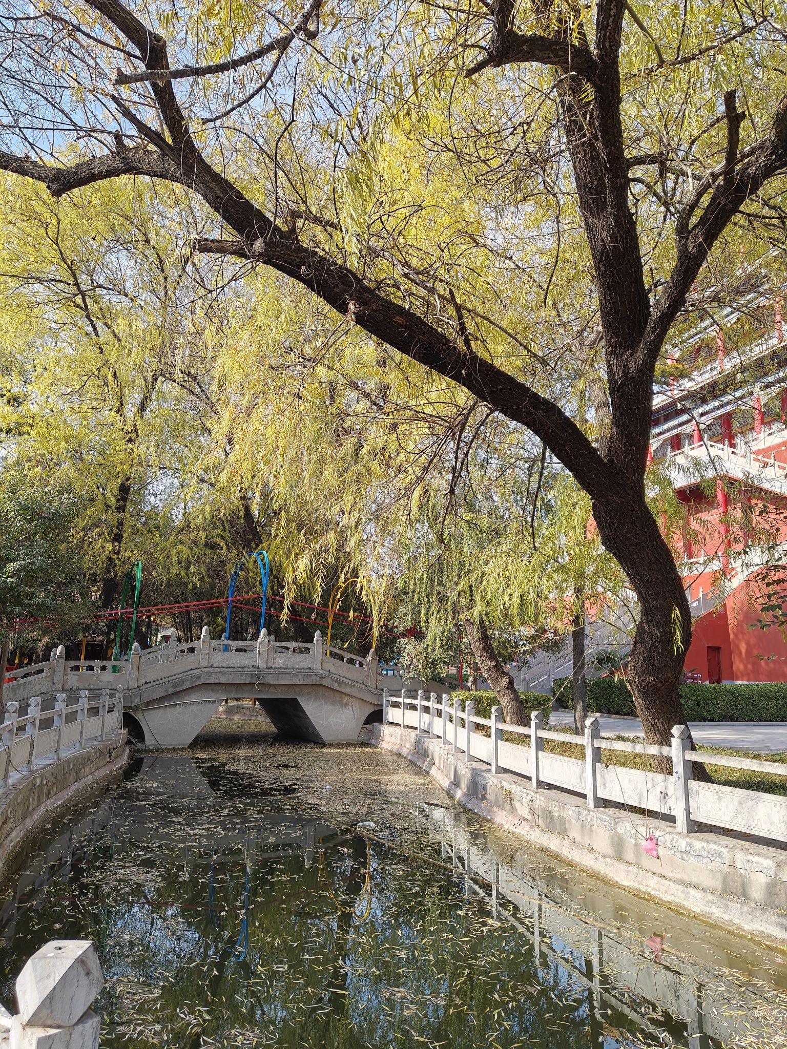 京华园旅行图片 3