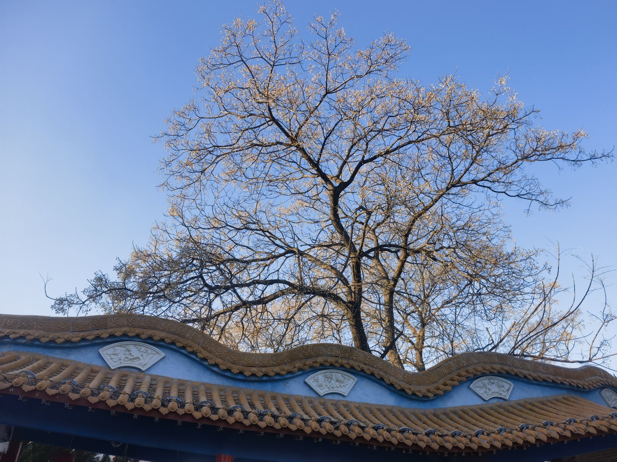 京华园旅行图片 1