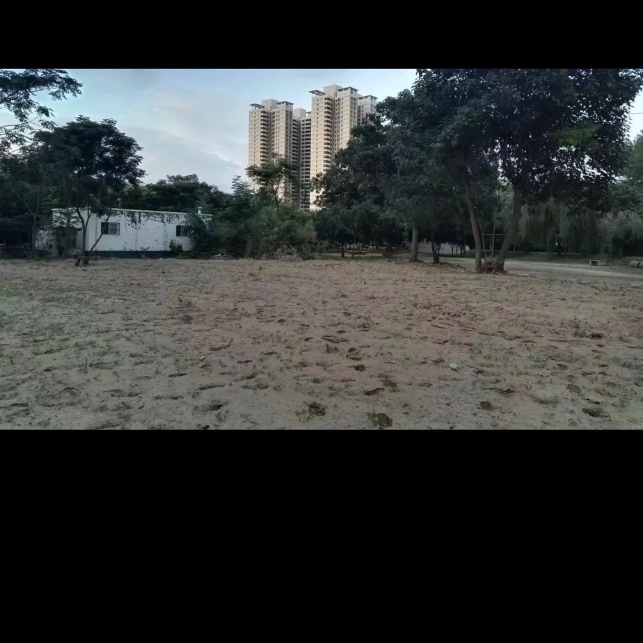 向阳公园旅行图片 3