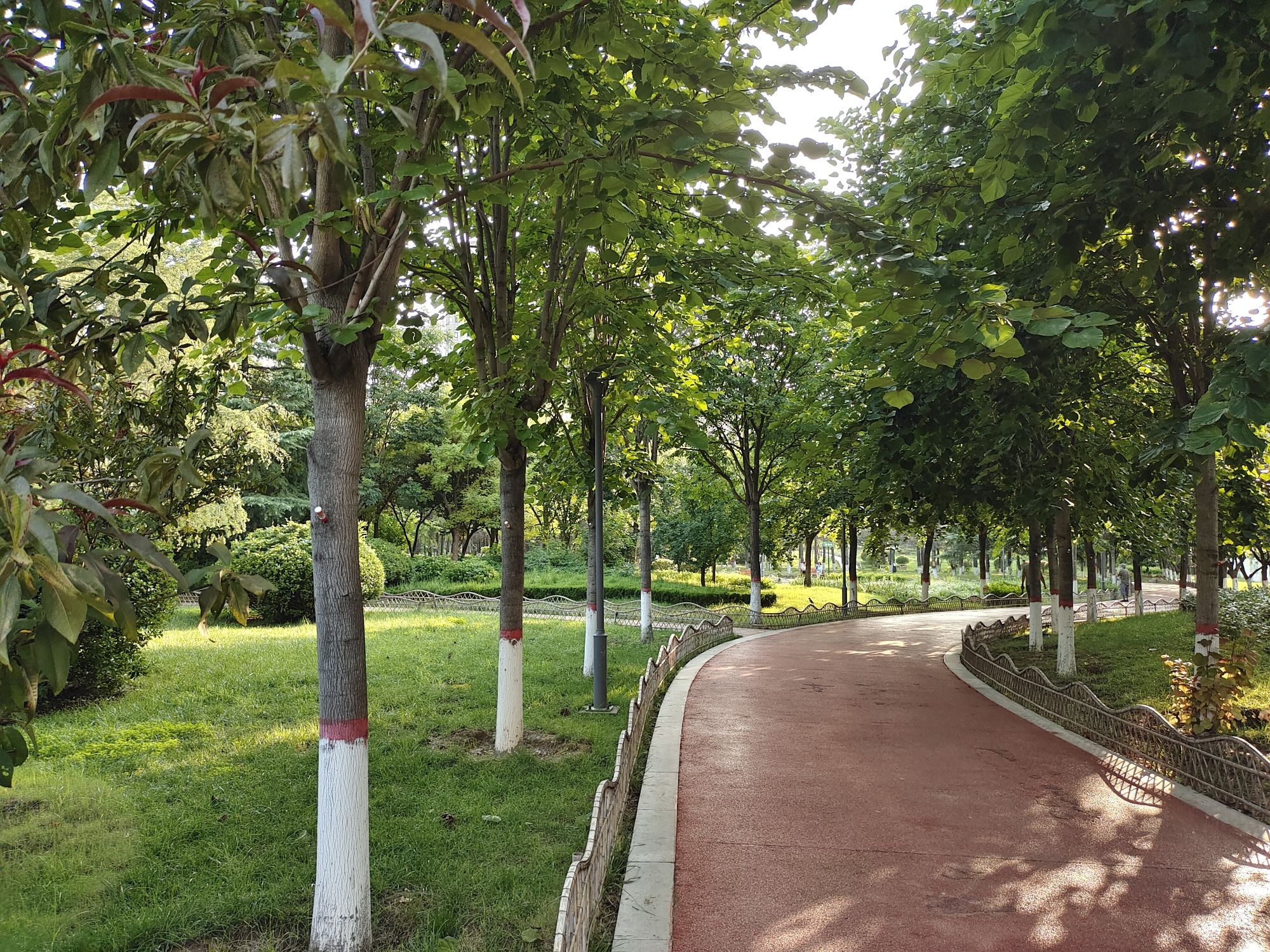 向阳公园旅行图片 3
