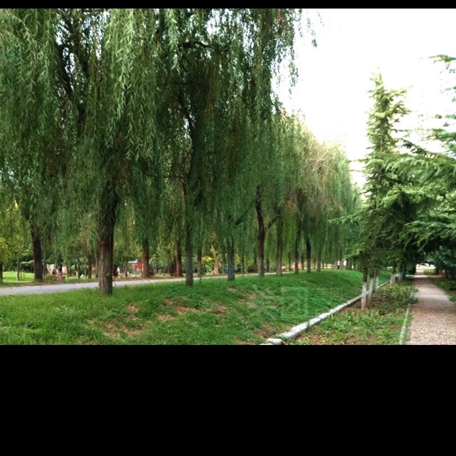 向阳公园旅行图片 2