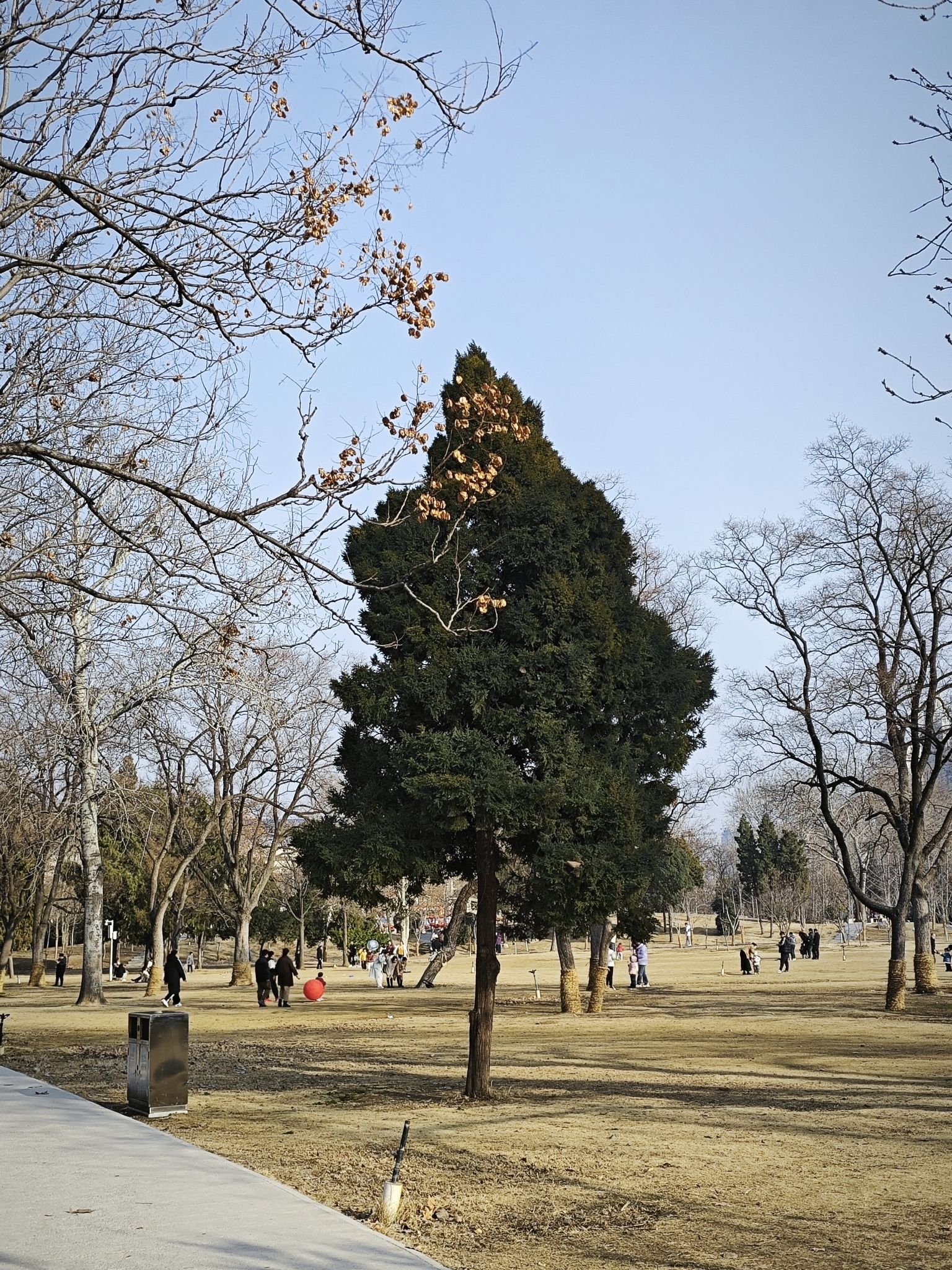 新乡市人民公园旅行图片 1