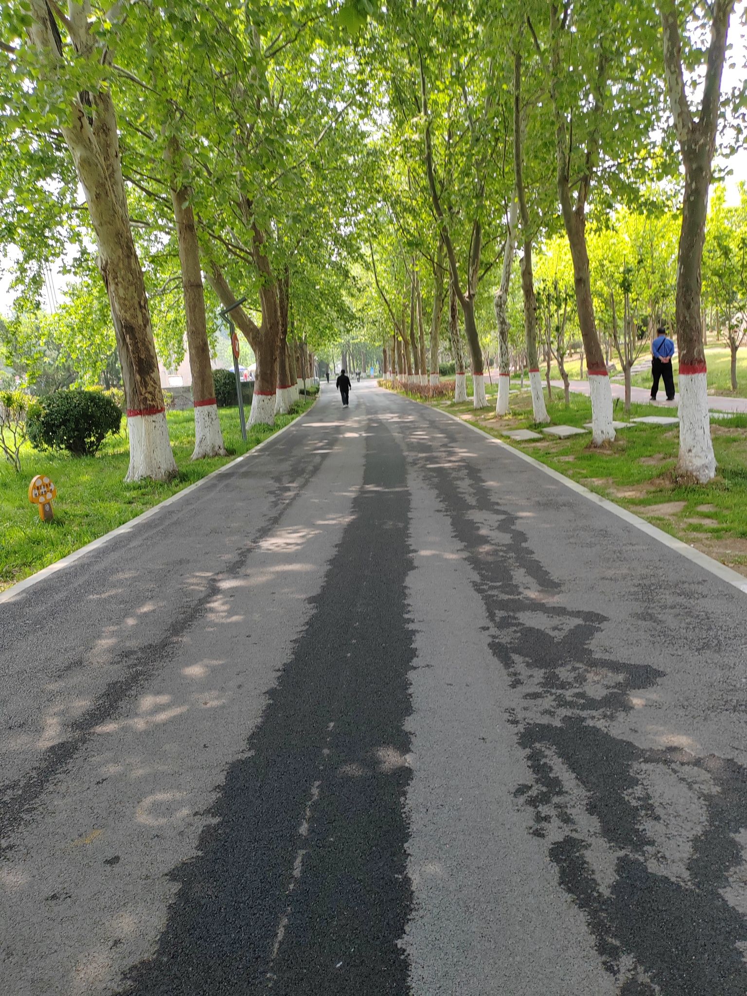 新乡市人民公园旅行图片 3