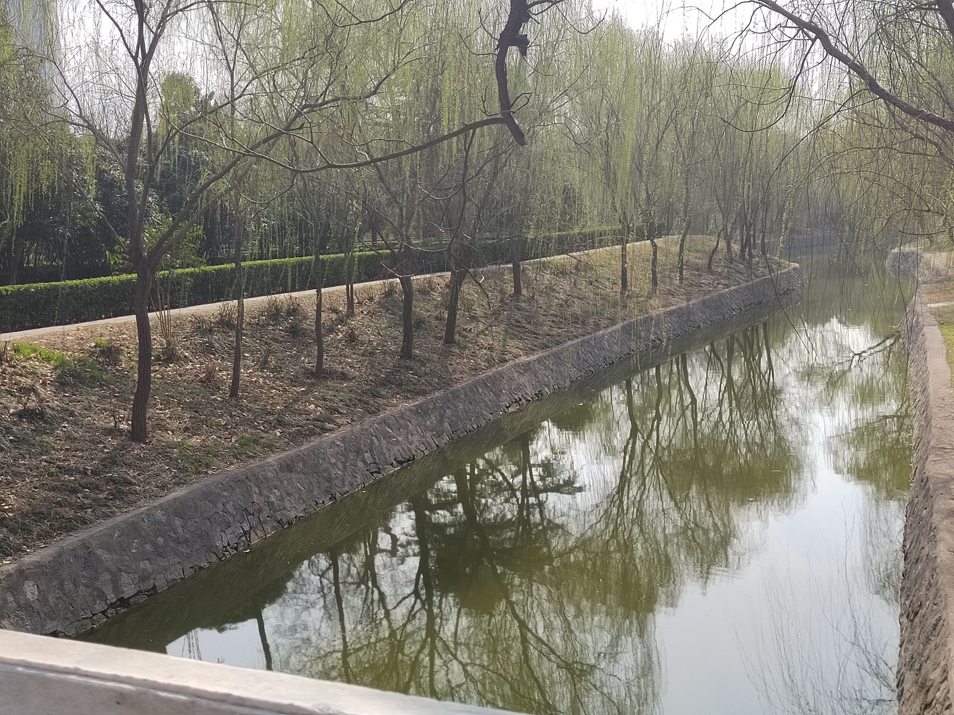新乡市人民公园旅行图片 2