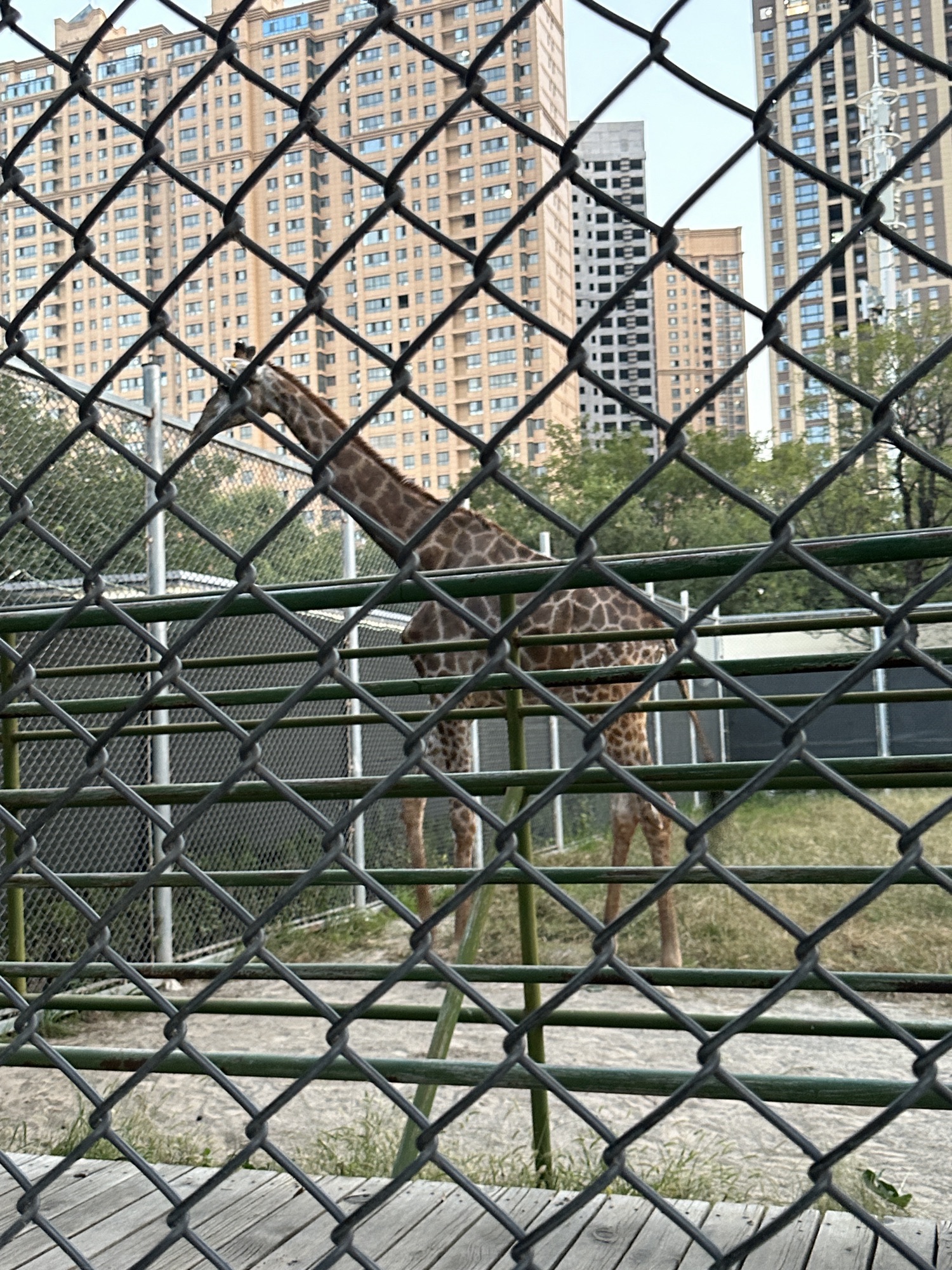 新乡市人民公园旅行图片 2