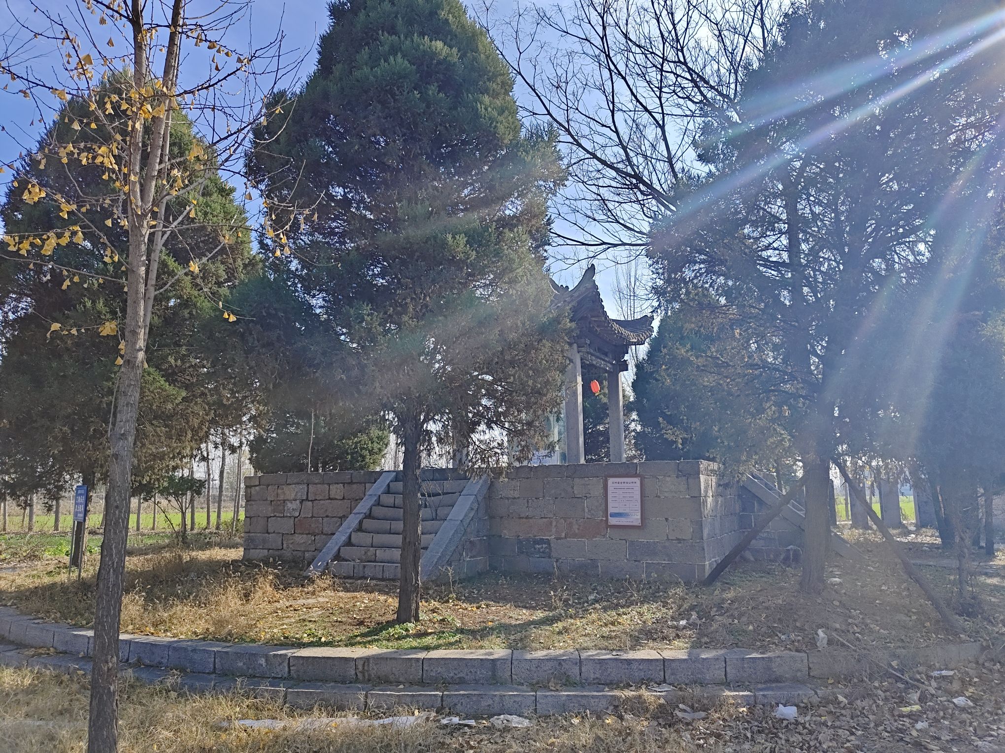 古博浪沙遗址旅行图片 1