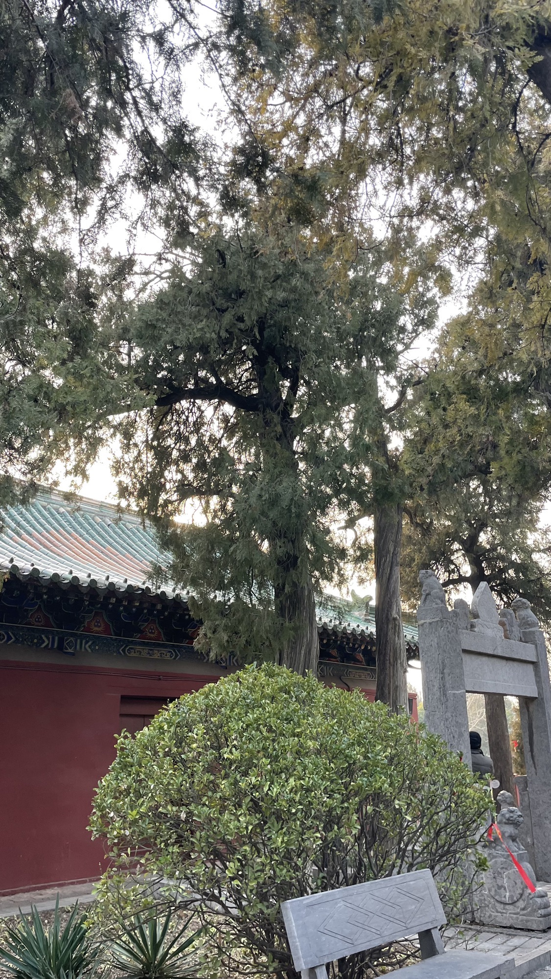 比干庙景区旅行图片 2