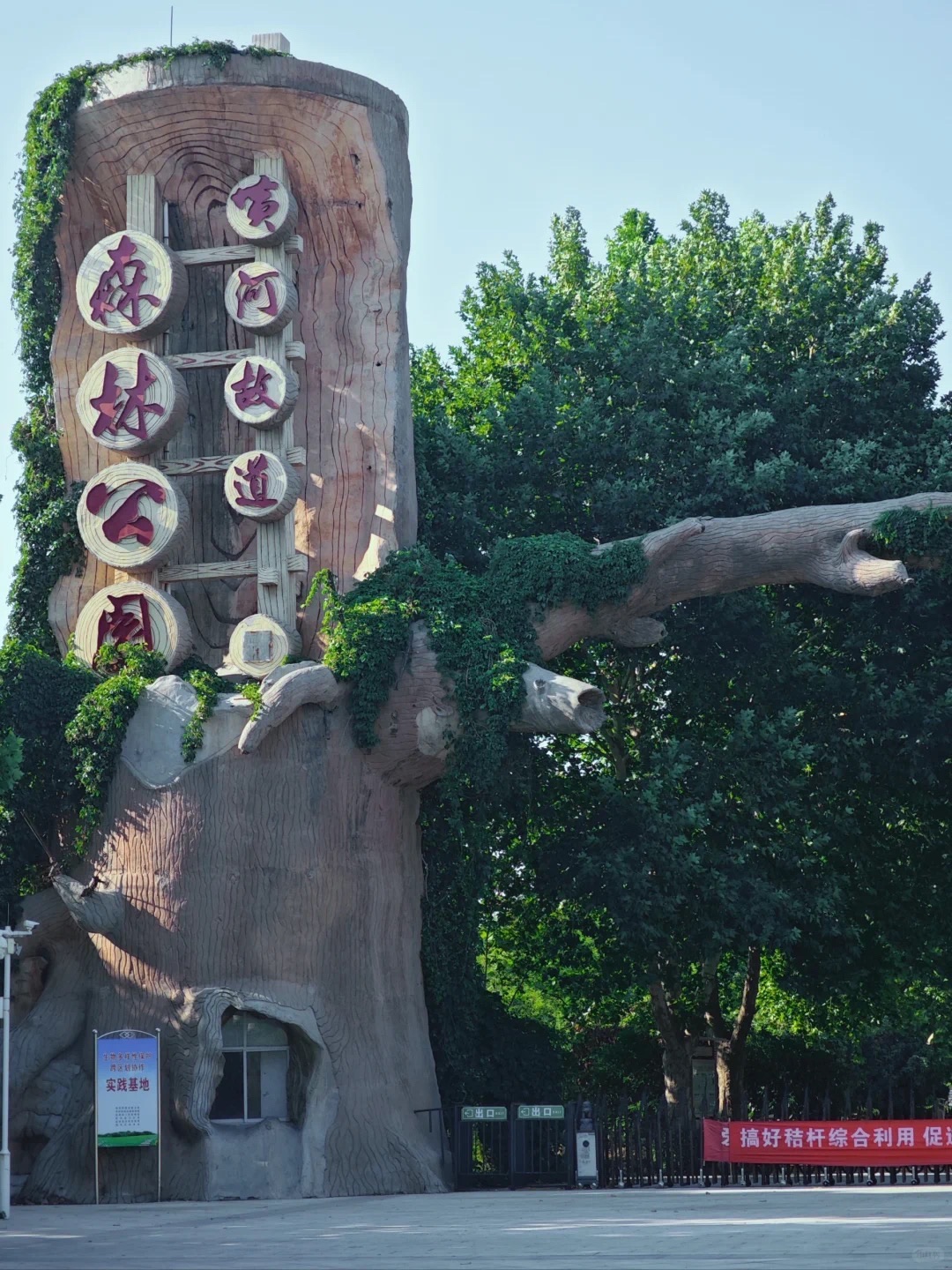 黄河故道森林公园旅行图片 3