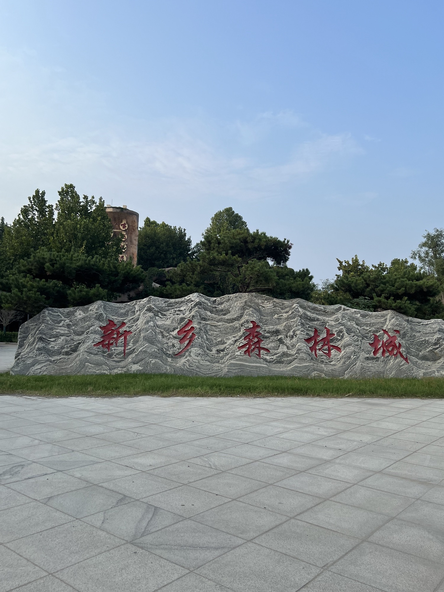 黄河故道森林公园旅行图片 2